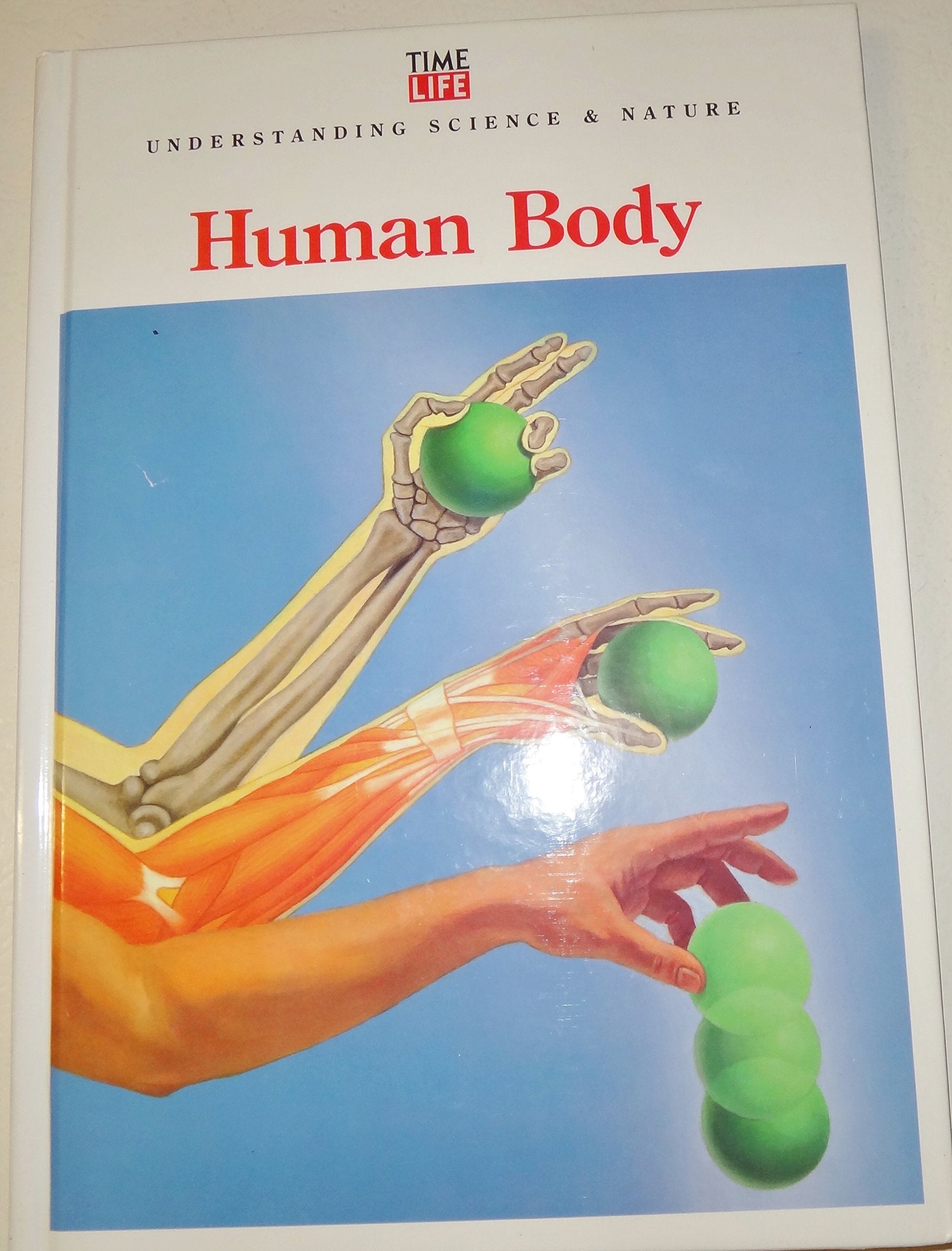 Human Body (Understanding Science and Nature) used book depot