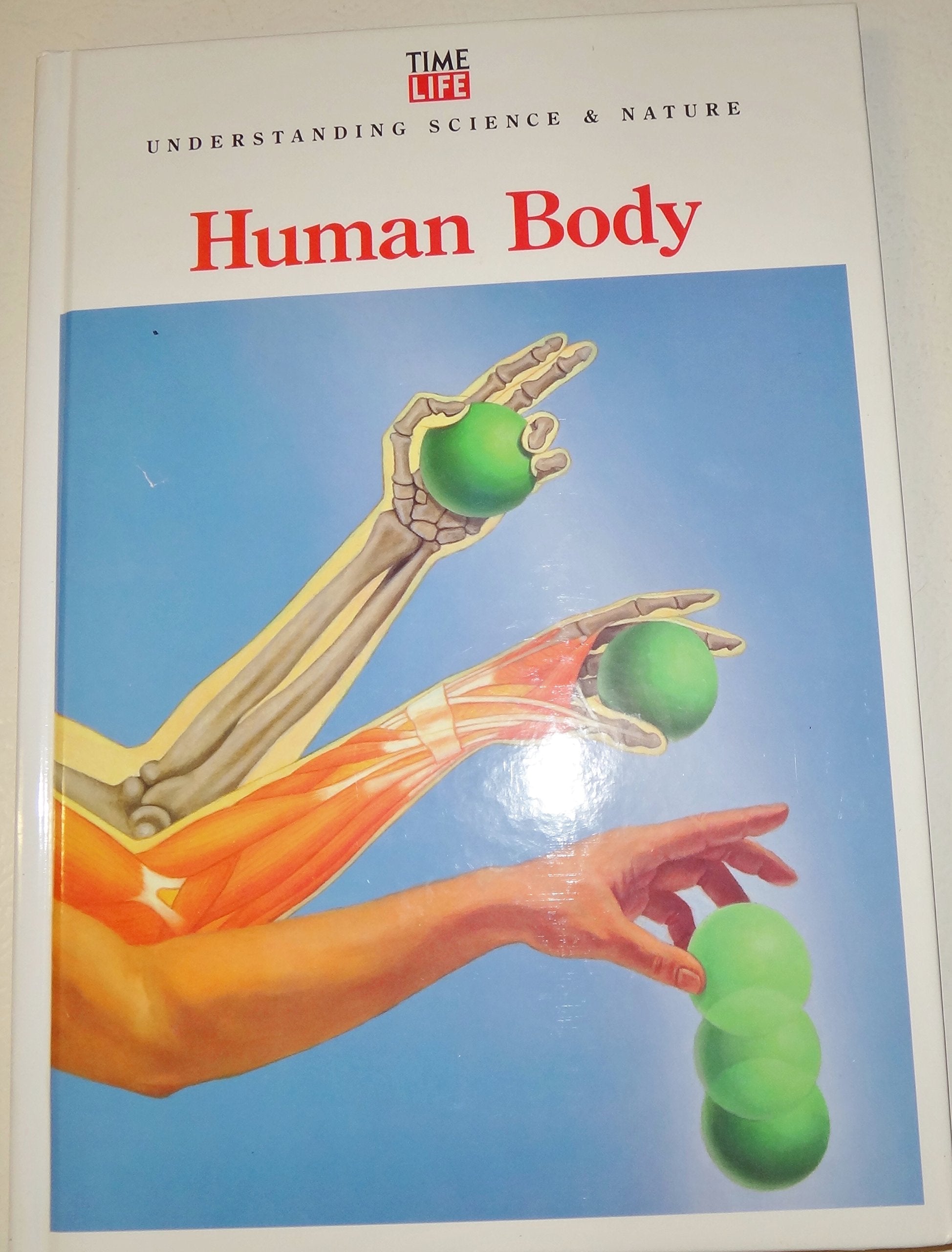Human Body (Understanding Science and Nature) used book depot