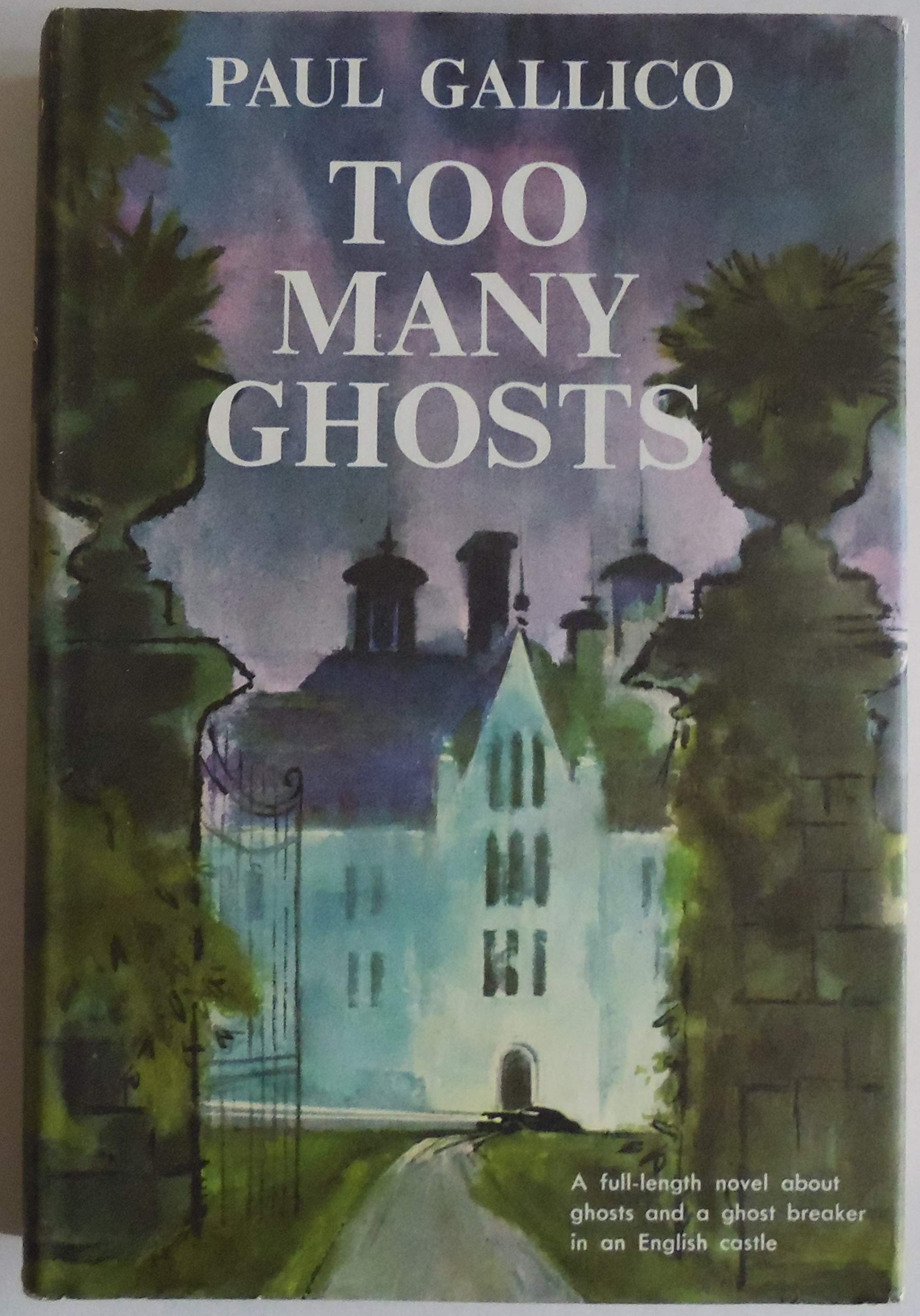Too Many Ghosts used book depot