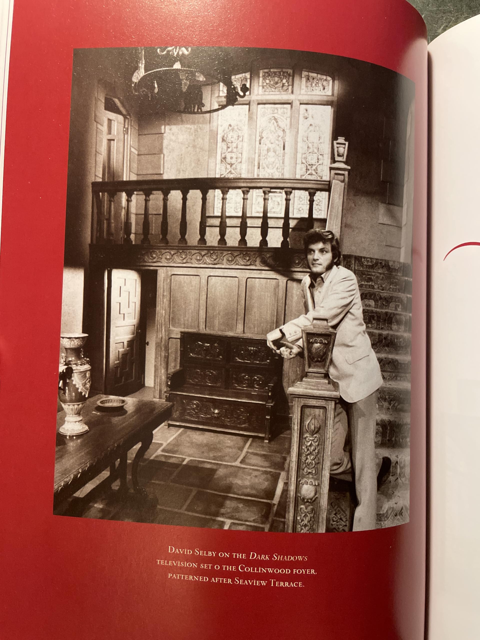 Dark Shadows: Return to Collinwood used book depot