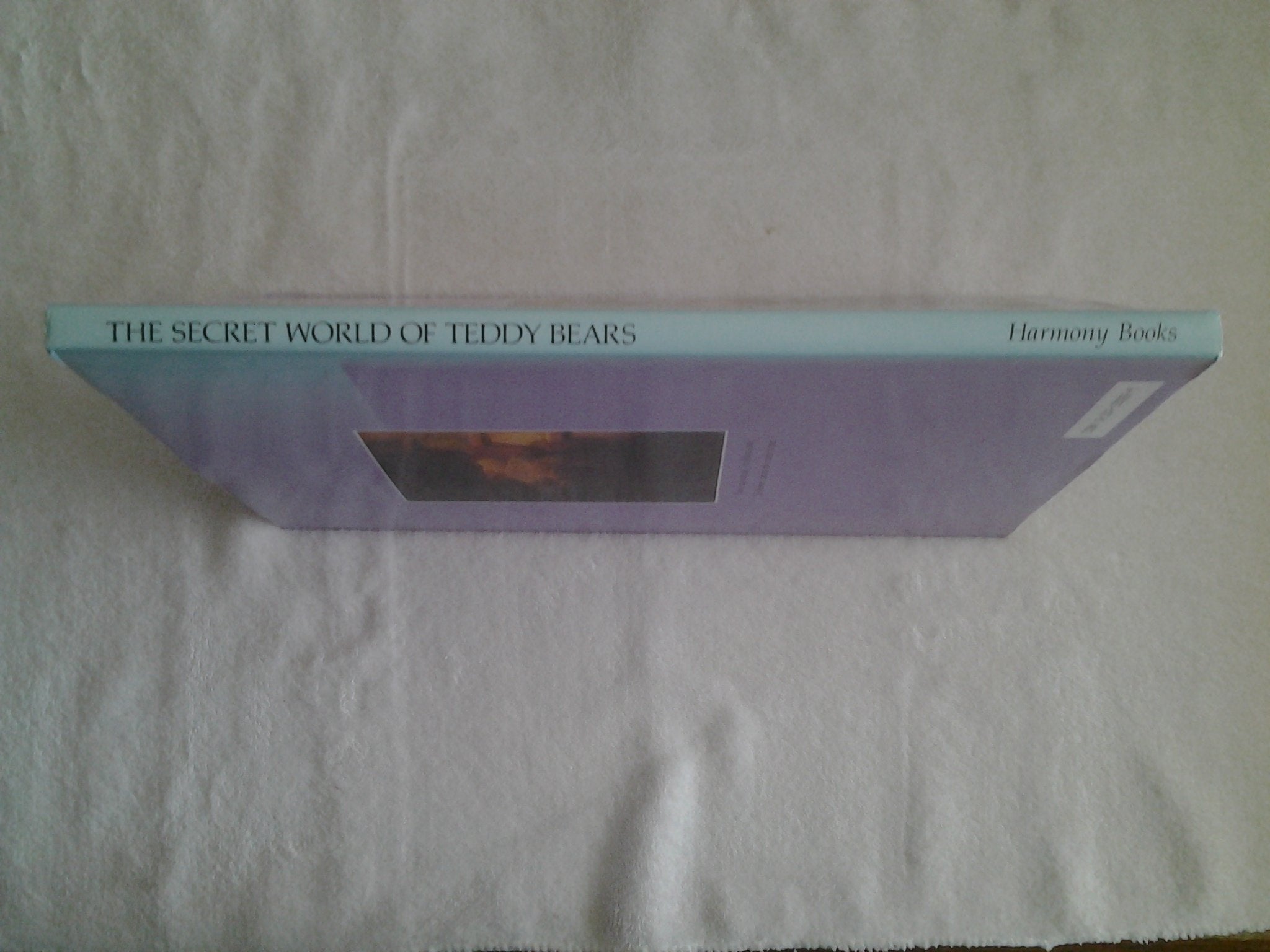 Secret World of Teddy Bears used book depot