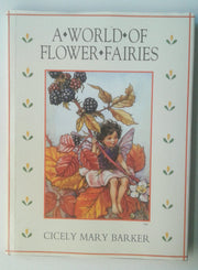 The World of Flower Fairies used book depot
