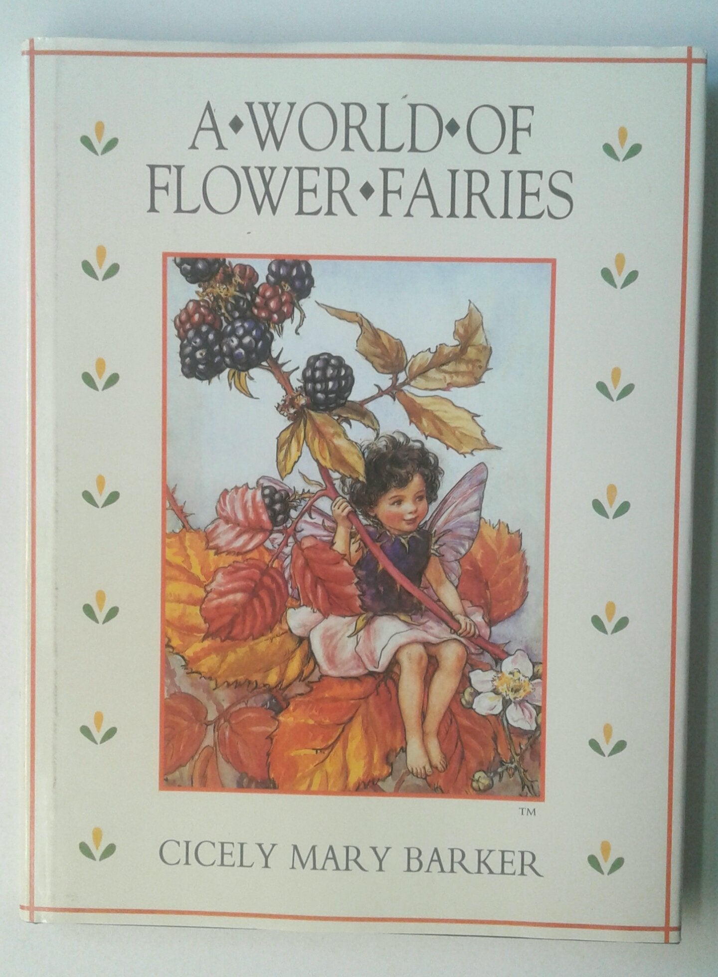 The World of Flower Fairies used book depot