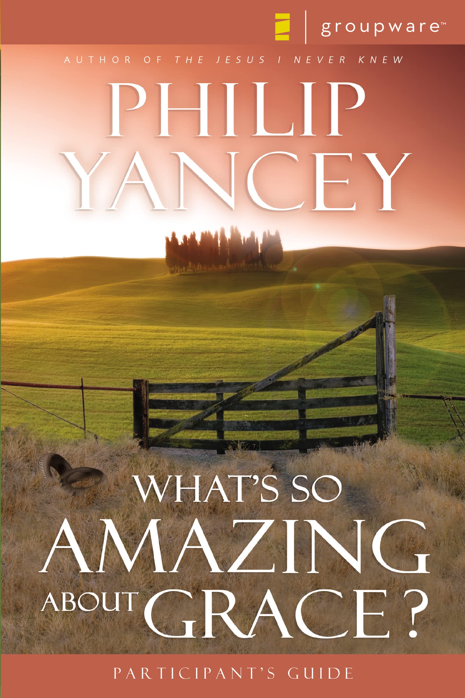 What's So Amazing About Grace? Participant's Guide used book depot