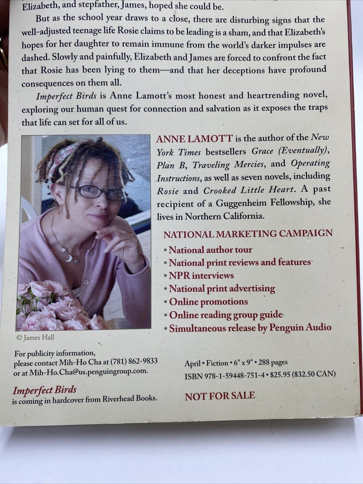 Imperfect Birds: A Novel used book depot