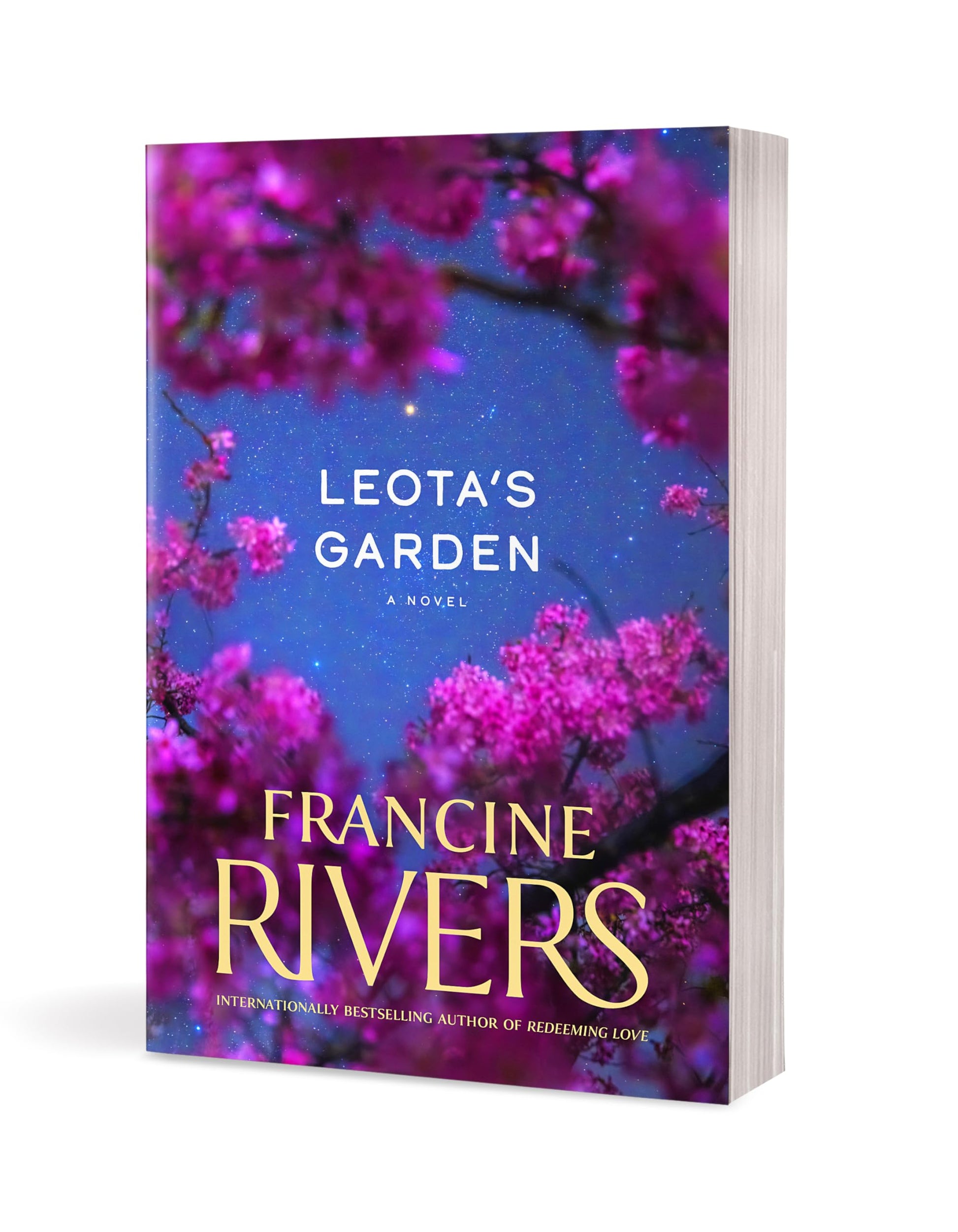 Leota's Garden: A Novel (A Contemporary Christian Fiction Story of Grace, Reconciliation, and Second Chances) used book depot