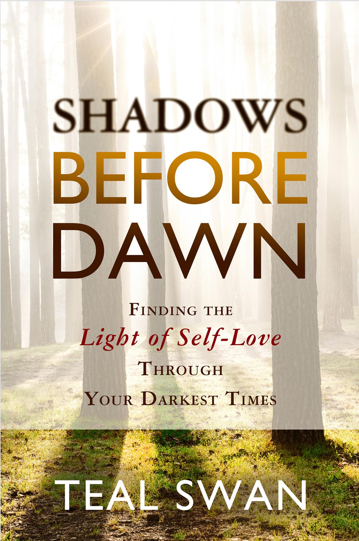 Shadows Before Dawn: Finding the Light of Self-Love Through Your Darkest Times used book depot