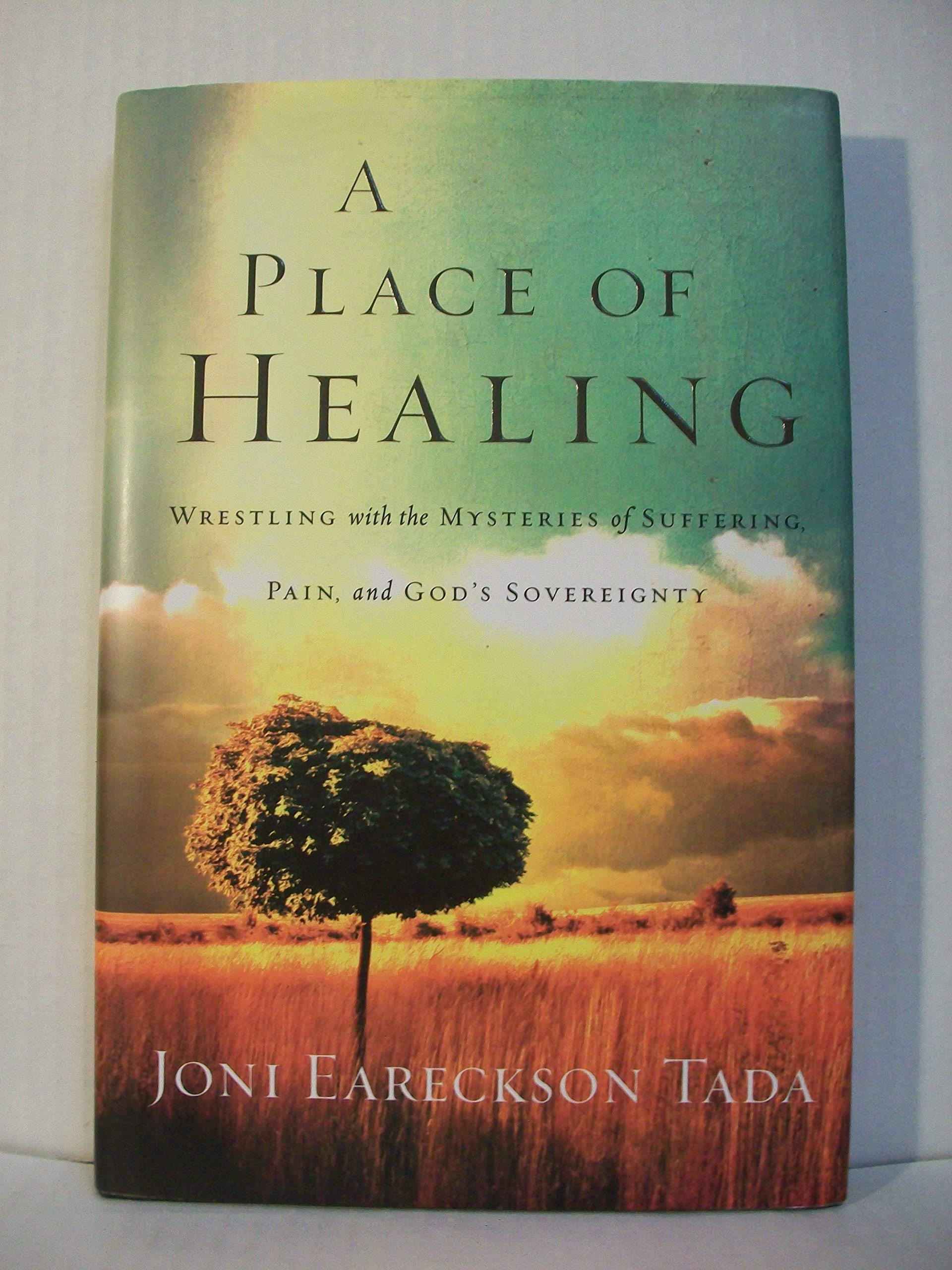 A Place of Healing: Wrestling with the Mysteries of Suffering, Pain, and God's Sovereignty used book depot