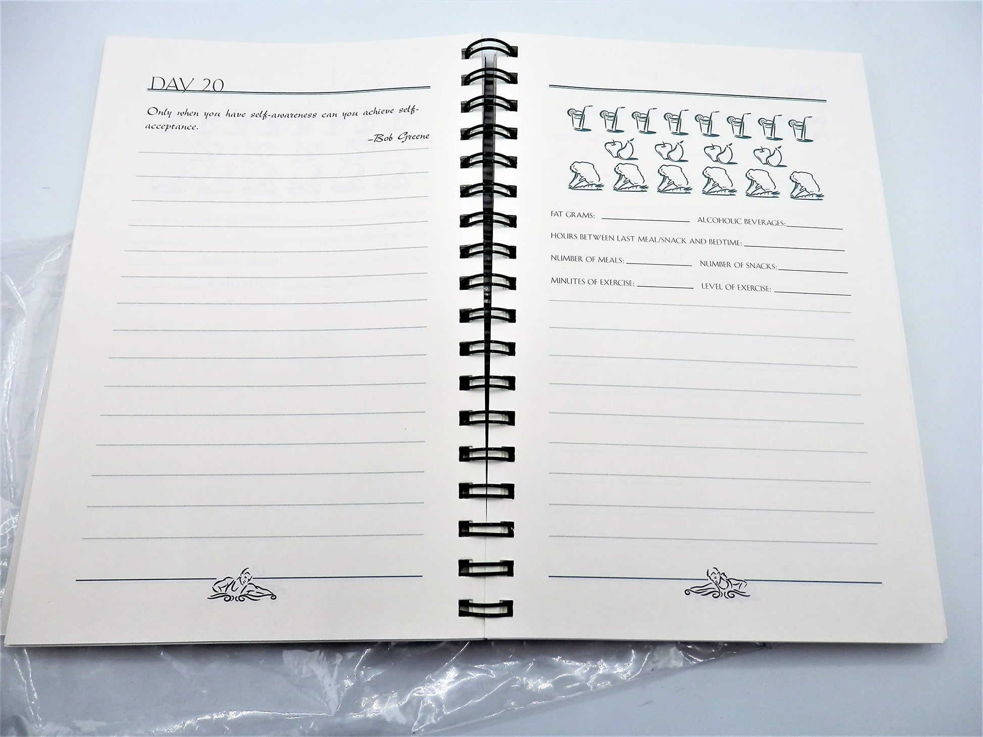 The Journal of Daily Renewal: The Companion to Make the Connection used book depot
