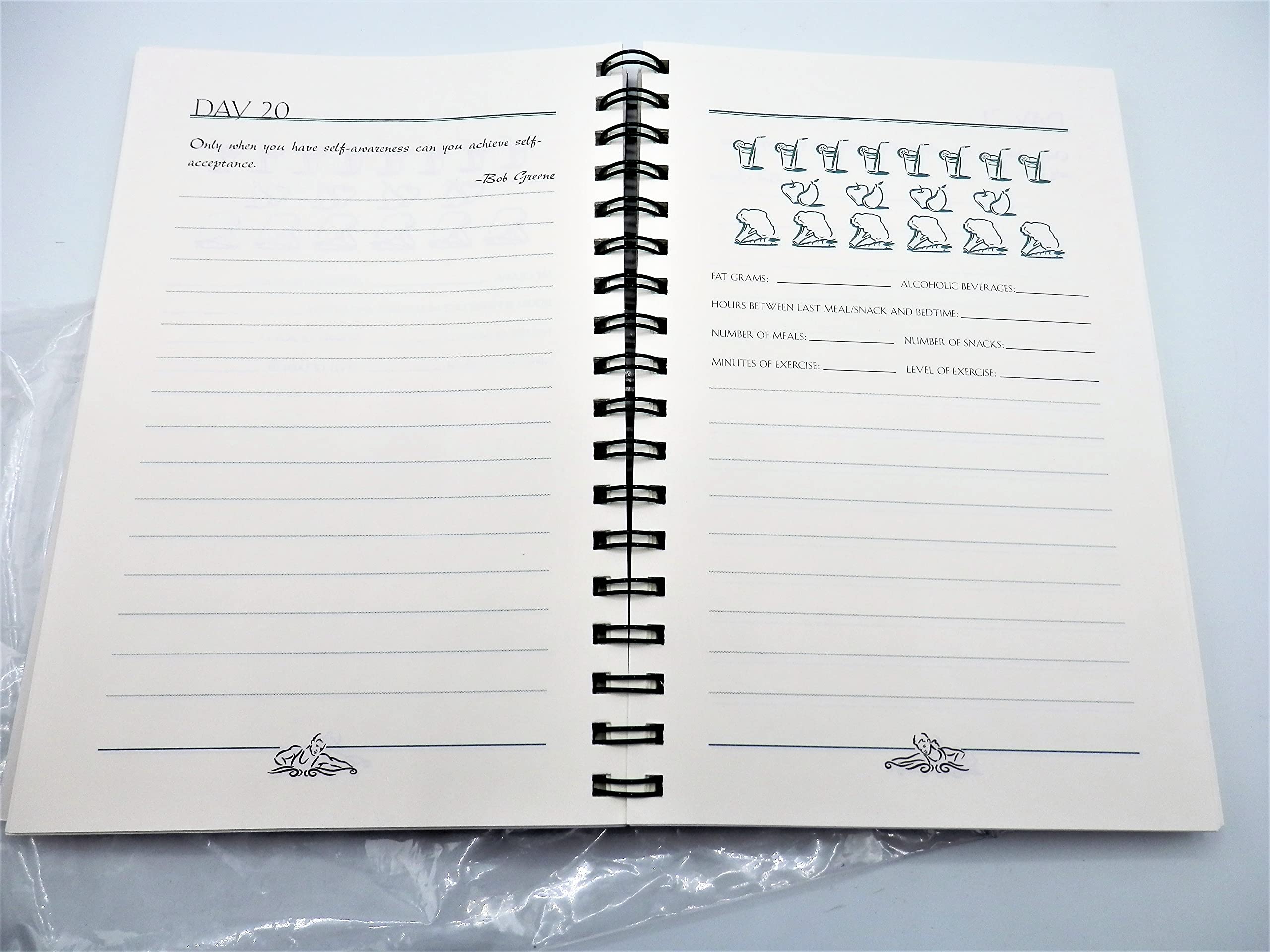 The Journal of Daily Renewal: The Companion to Make the Connection