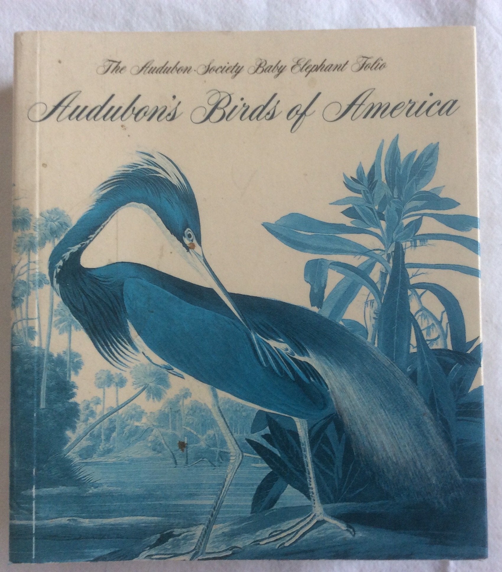 Audubon's Birds of America : The Audubon Society Baby Elephant Folio (Tiny Folios) used book depot