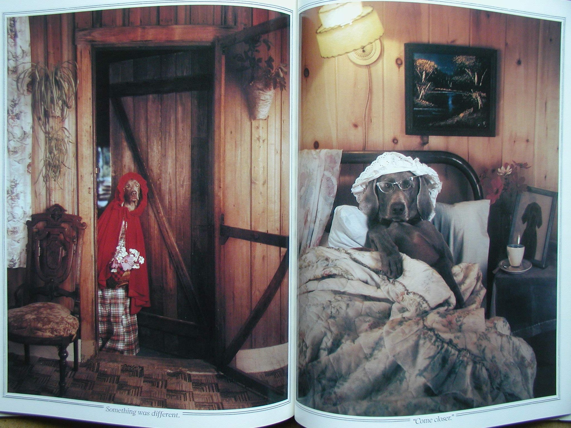 Little Red Riding Hood: Retold and illustrated with color photographs by William Wegman (Fay's Fairy Tales) used book depot
