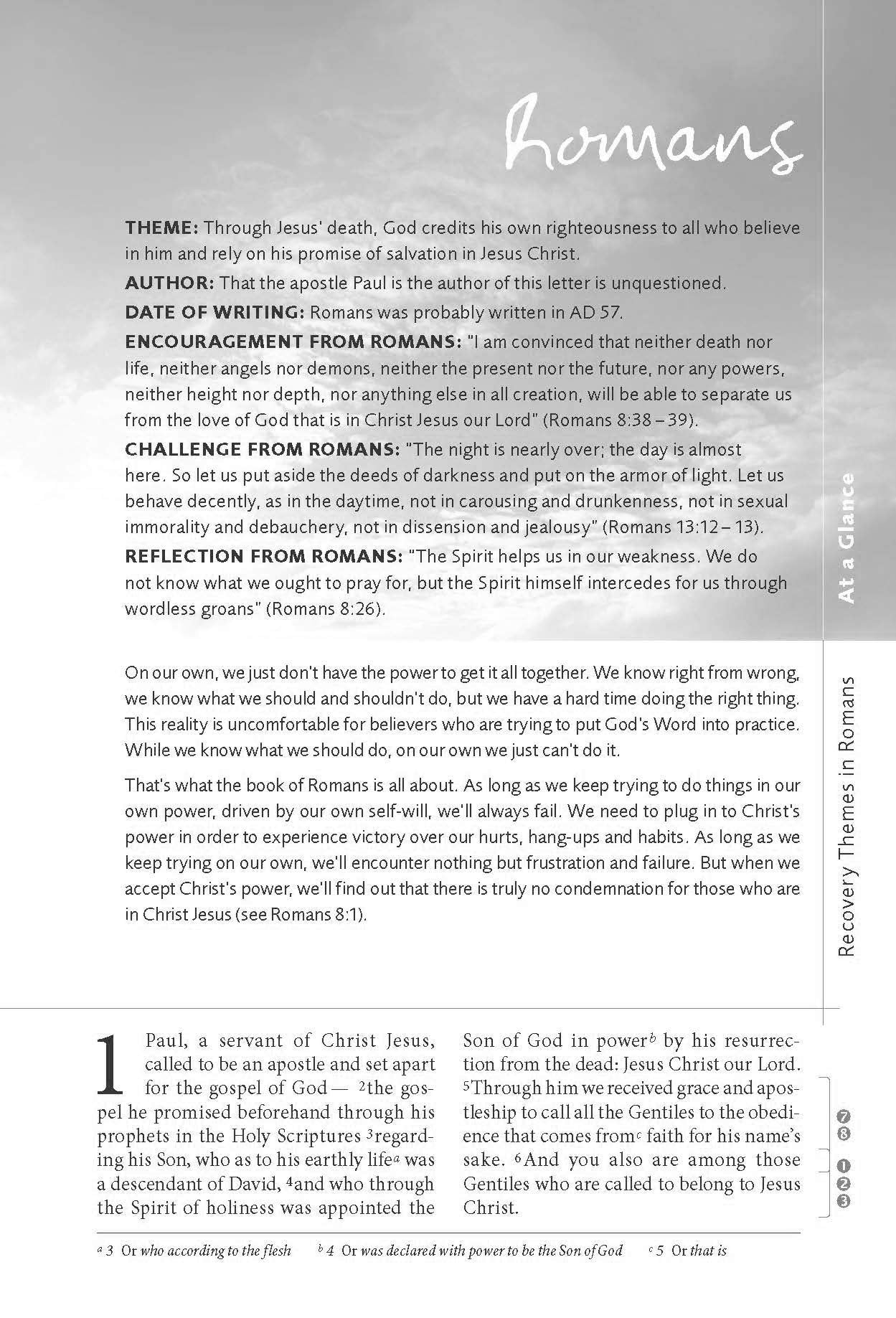 NIV, Celebrate Recovery Study Bible used book depot