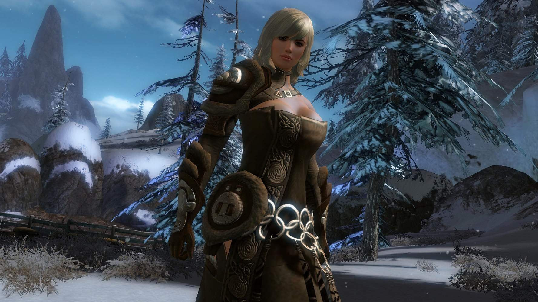 Guild Wars 2 used book depot