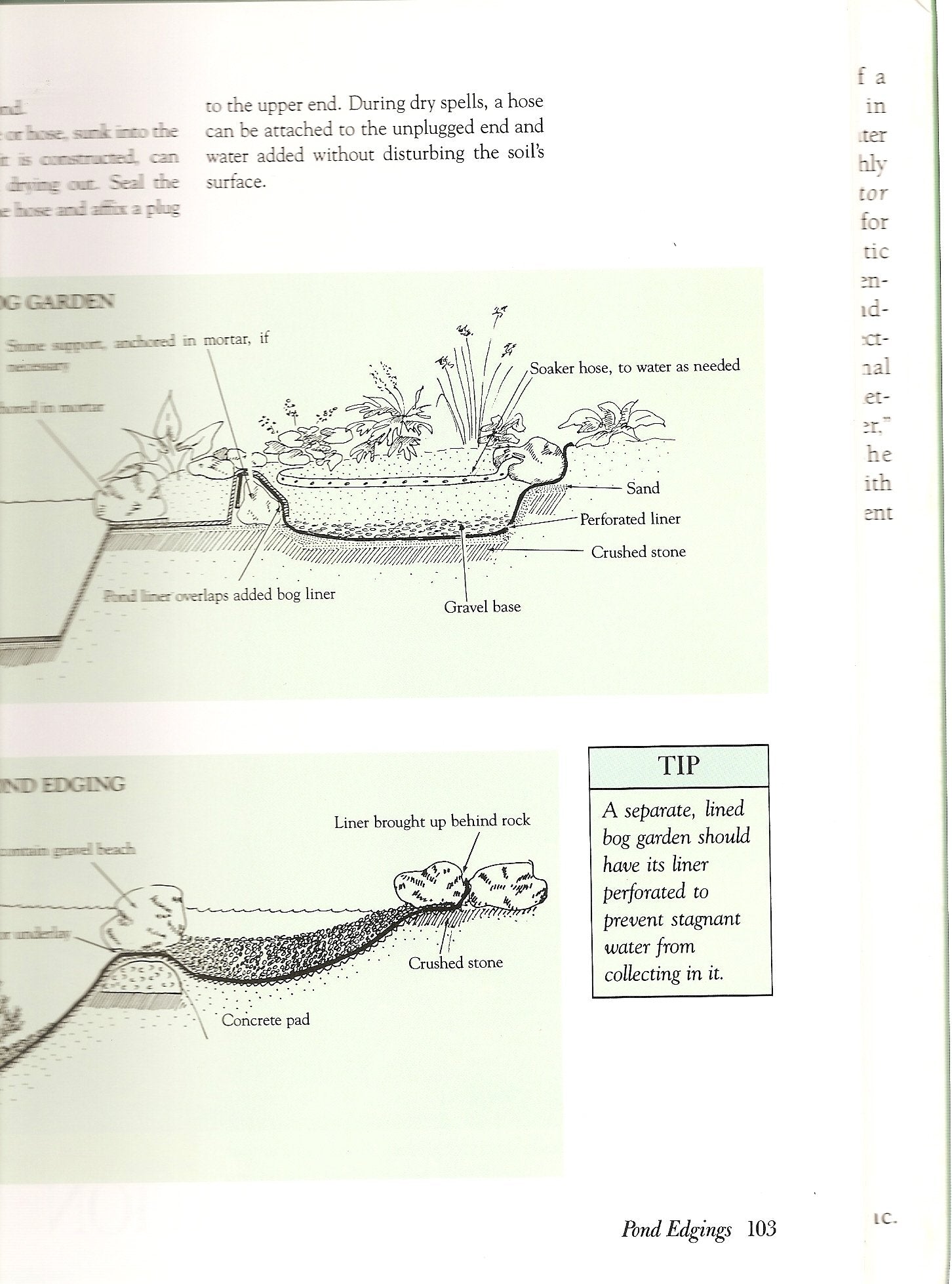 The Complete Pond Builder: Creating a Beautiful Water Garden