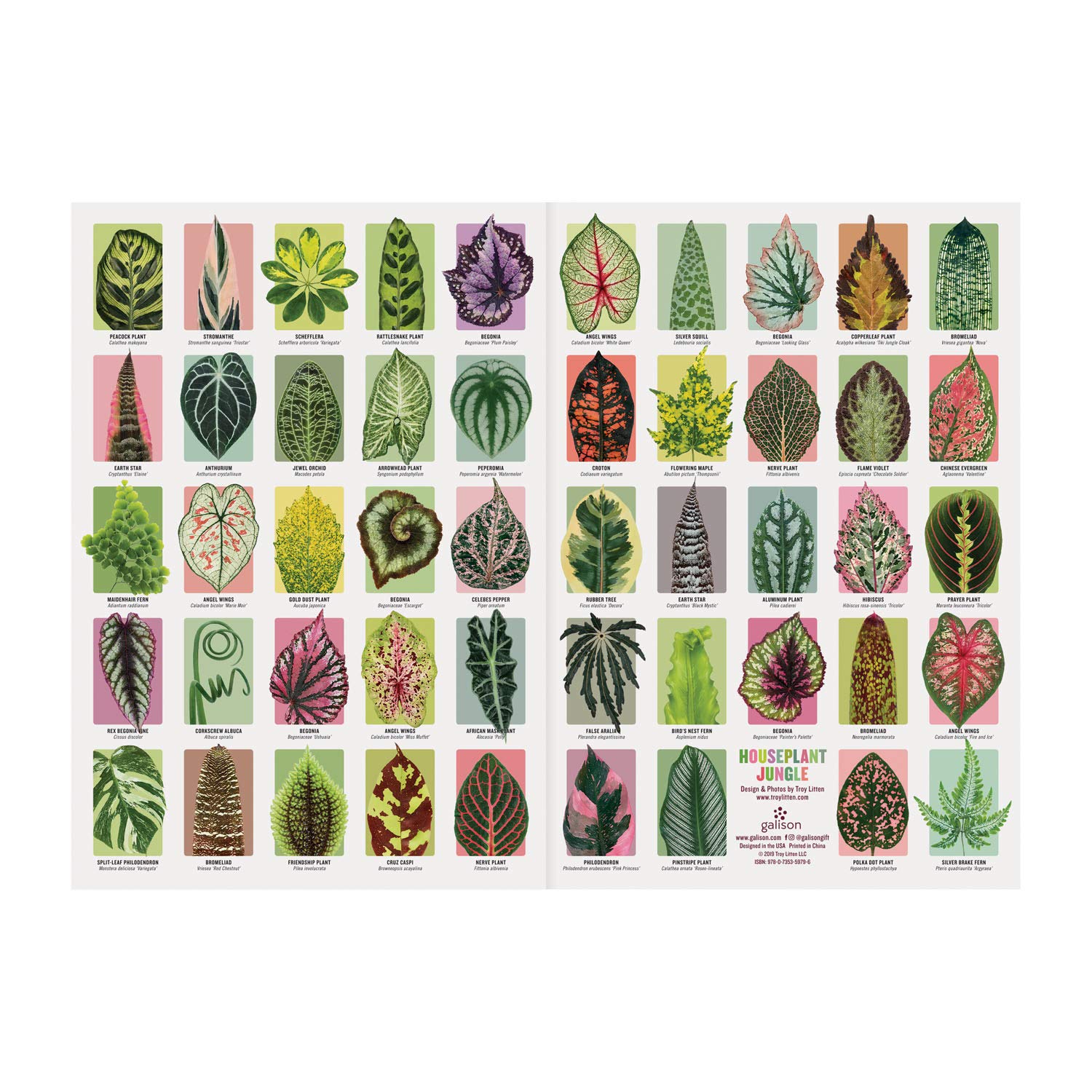 Houseplant Jungle A5 Journal used book depot