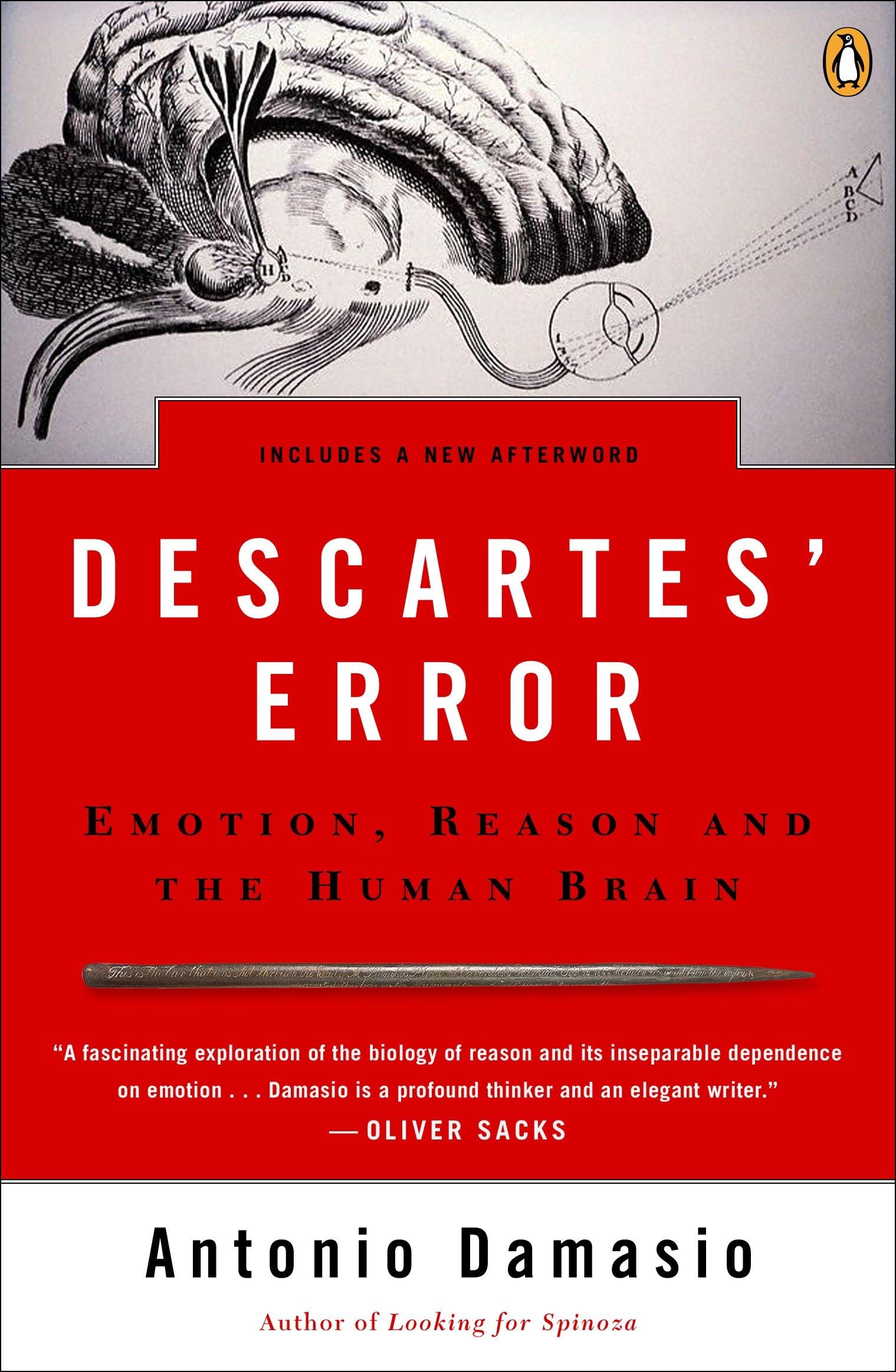 Descartes' Error: Emotion, Reason, and the Human Brain used book depot