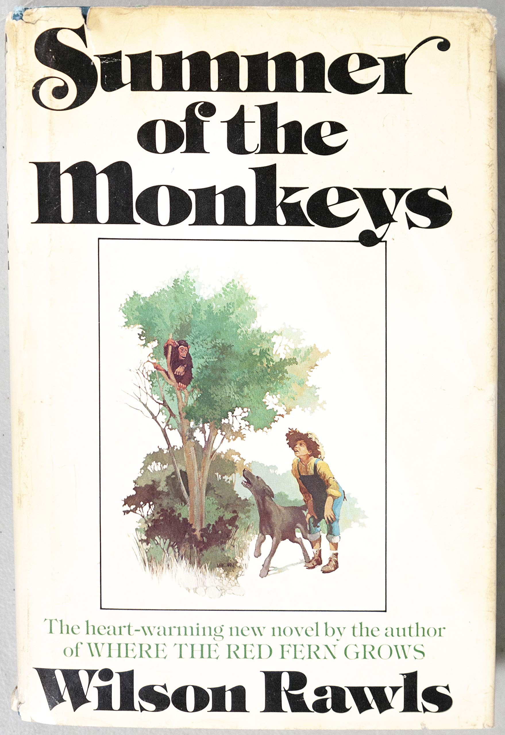 Summer of the Monkeys used book depot