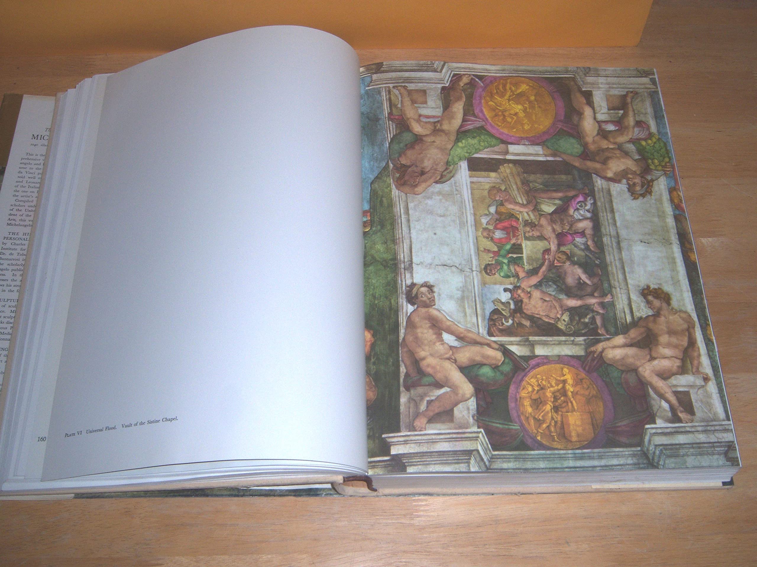 The Complete Work of Michelangelo