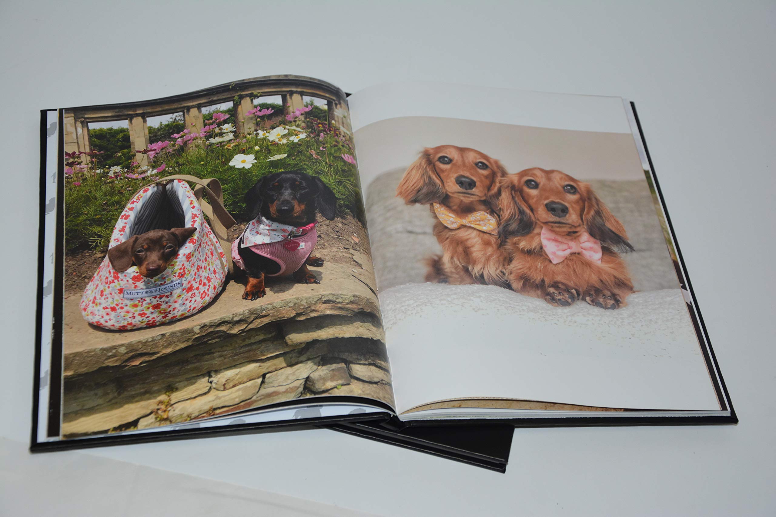 The Book of Dachshunds - Hardcover Dachshund Book used book depot
