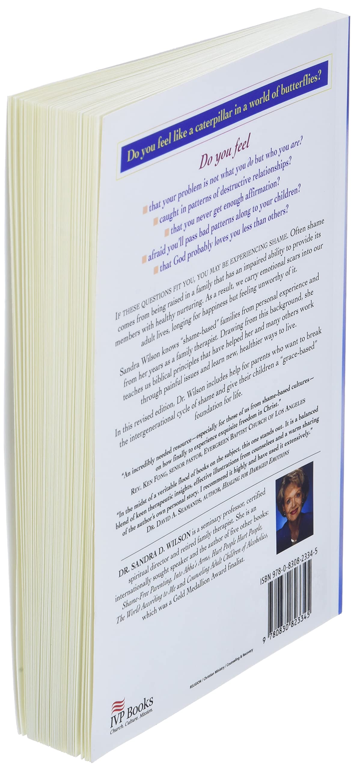 Released from Shame: Moving Beyond the Pain of the Past used book depot