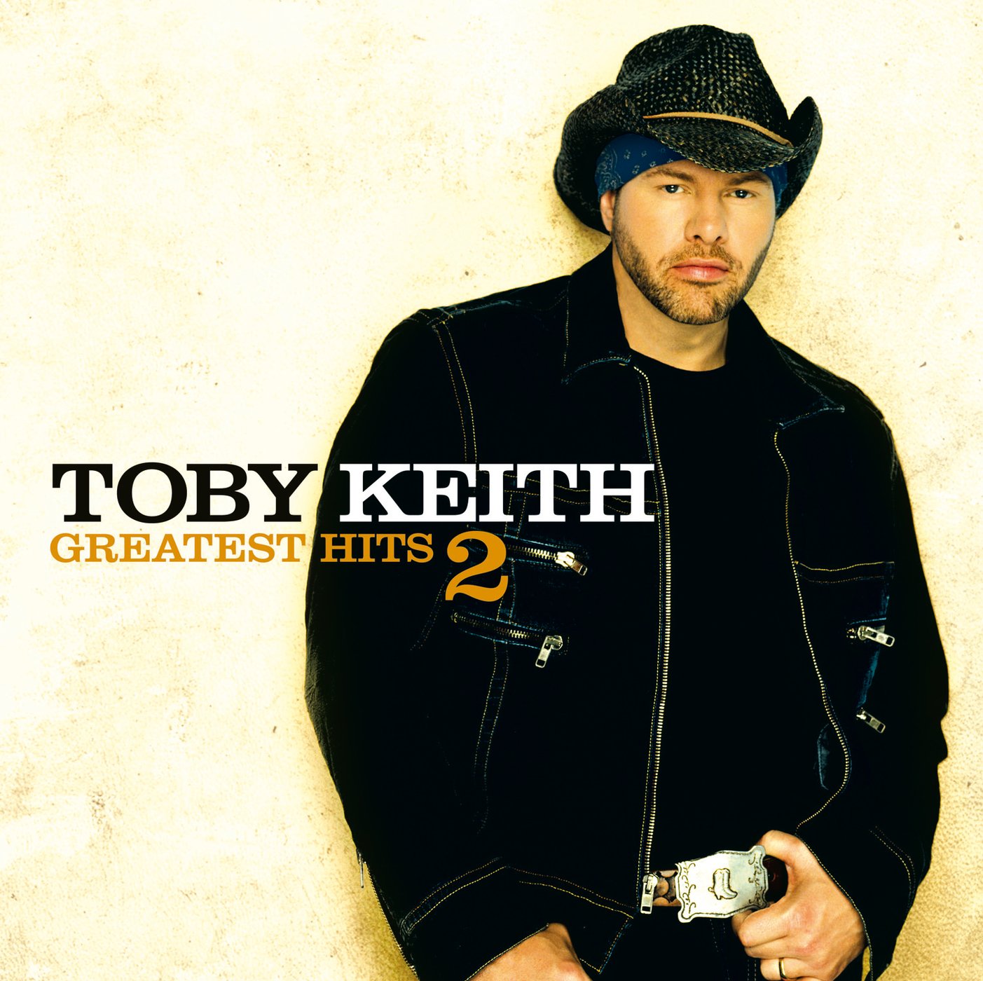 Toby Keith: Greatest Hits 2 used book depot