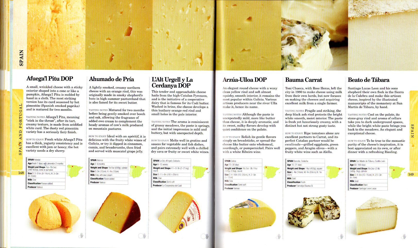 The World Cheese Book used book depot