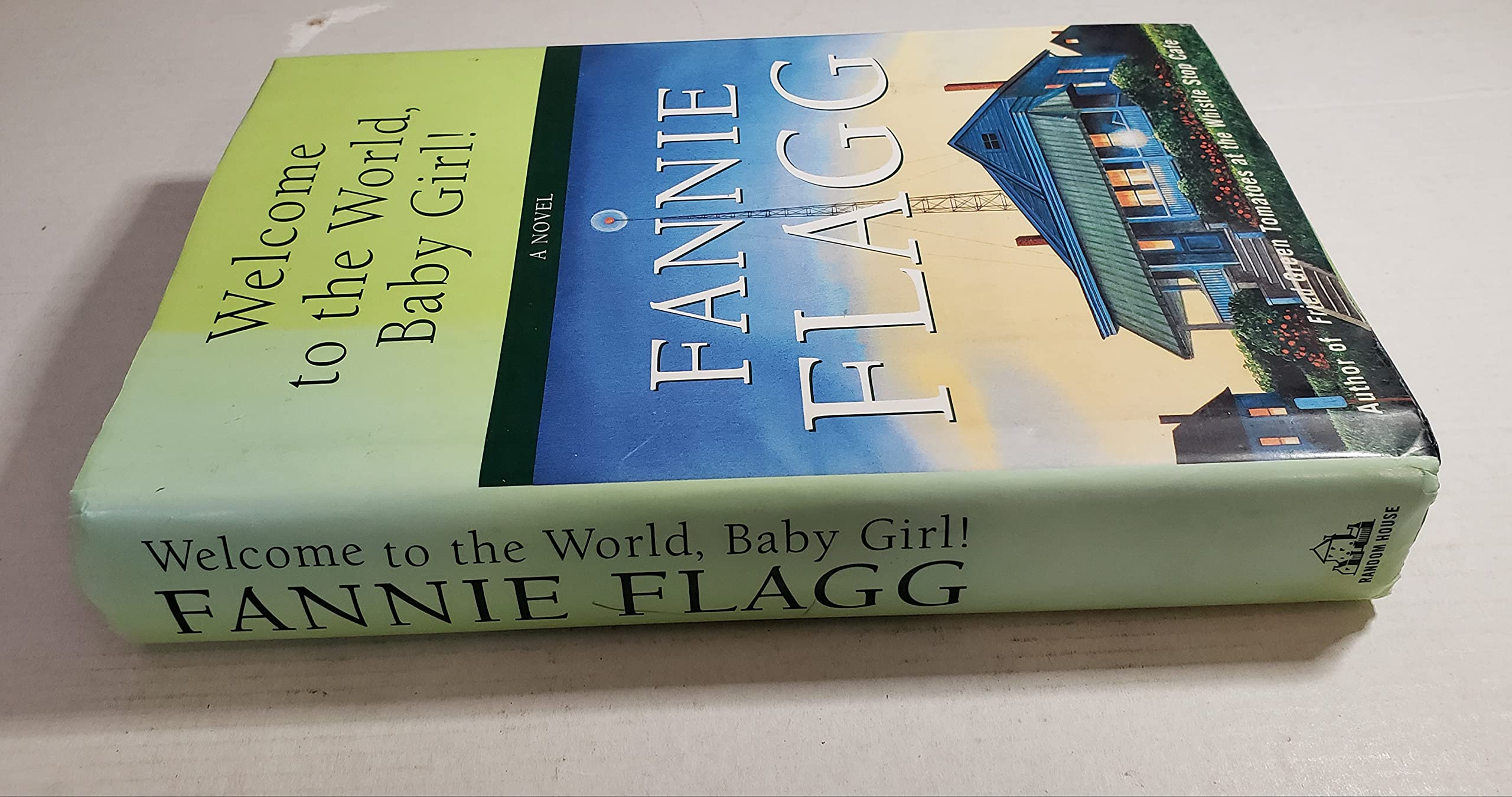 Welcome to the World, Baby Girl!: A Novel