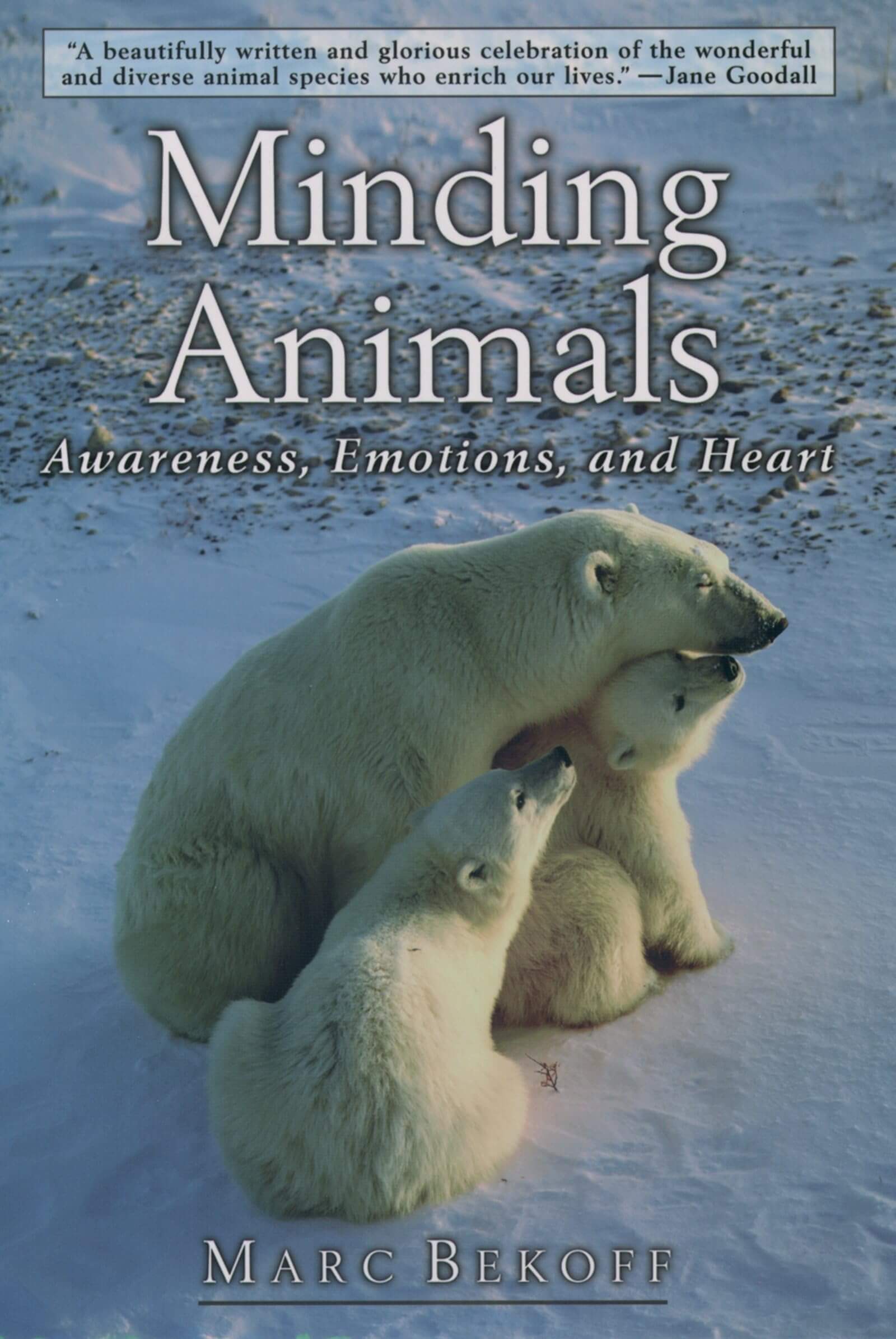 Minding Animals: Awareness, Emotions, and Heart used book depot