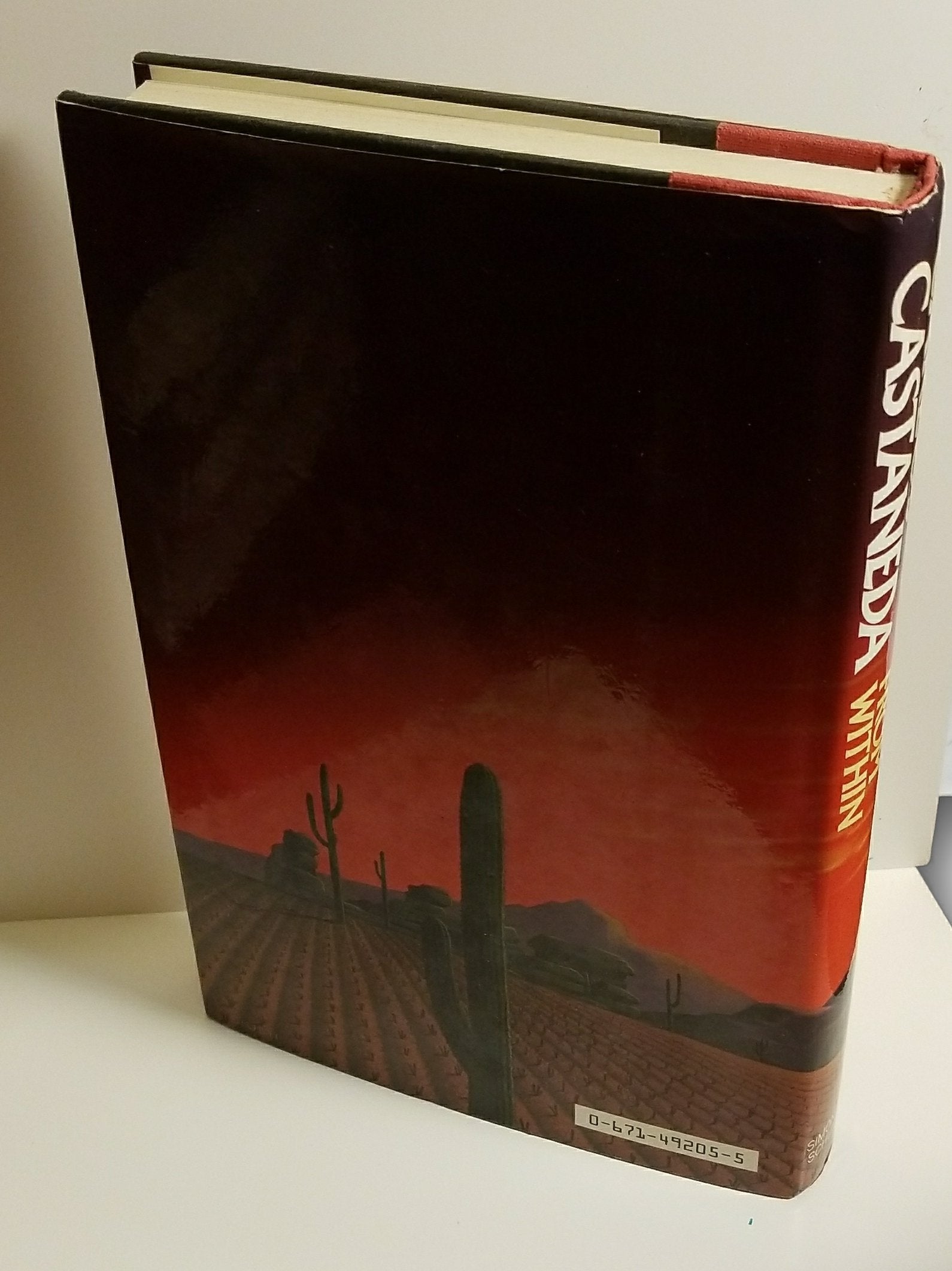 The Fire from Within used book depot