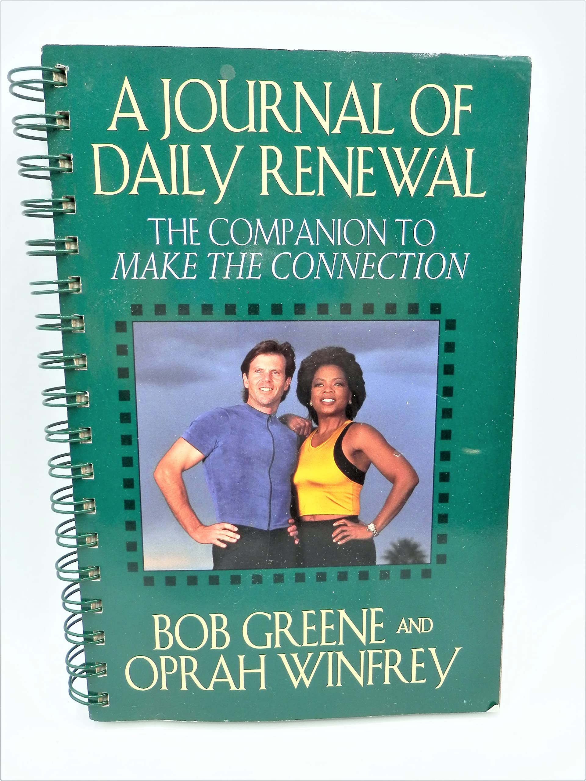 The Journal of Daily Renewal: The Companion to Make the Connection used book depot