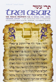 [Tere asar] =: Trei asar : The twelve prophets : a new translation with a commentary anthologized from Talmudic, Midrashic, and Rabbinic sources (ArtScroll Tanach series) (Hebrew Edition) used book depot