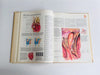 Time Presents The Rand McNally Atlas Of The Body [Hardcover] Unknown