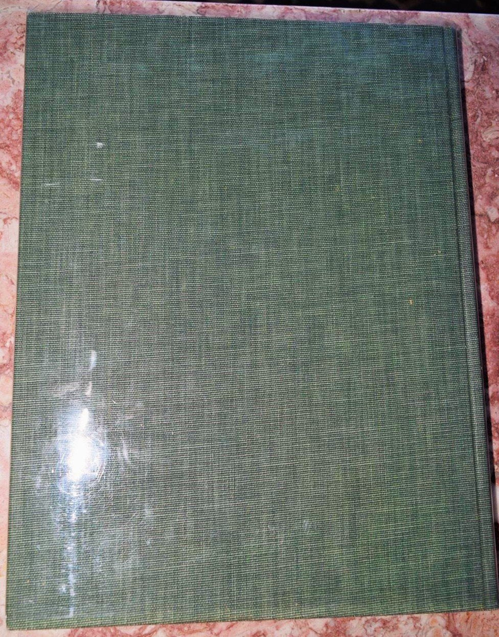 Nervous System, Part 1: Anatomy and Physiology (Ciba Collection of Medical Illustrations, Volume 1) used book depot