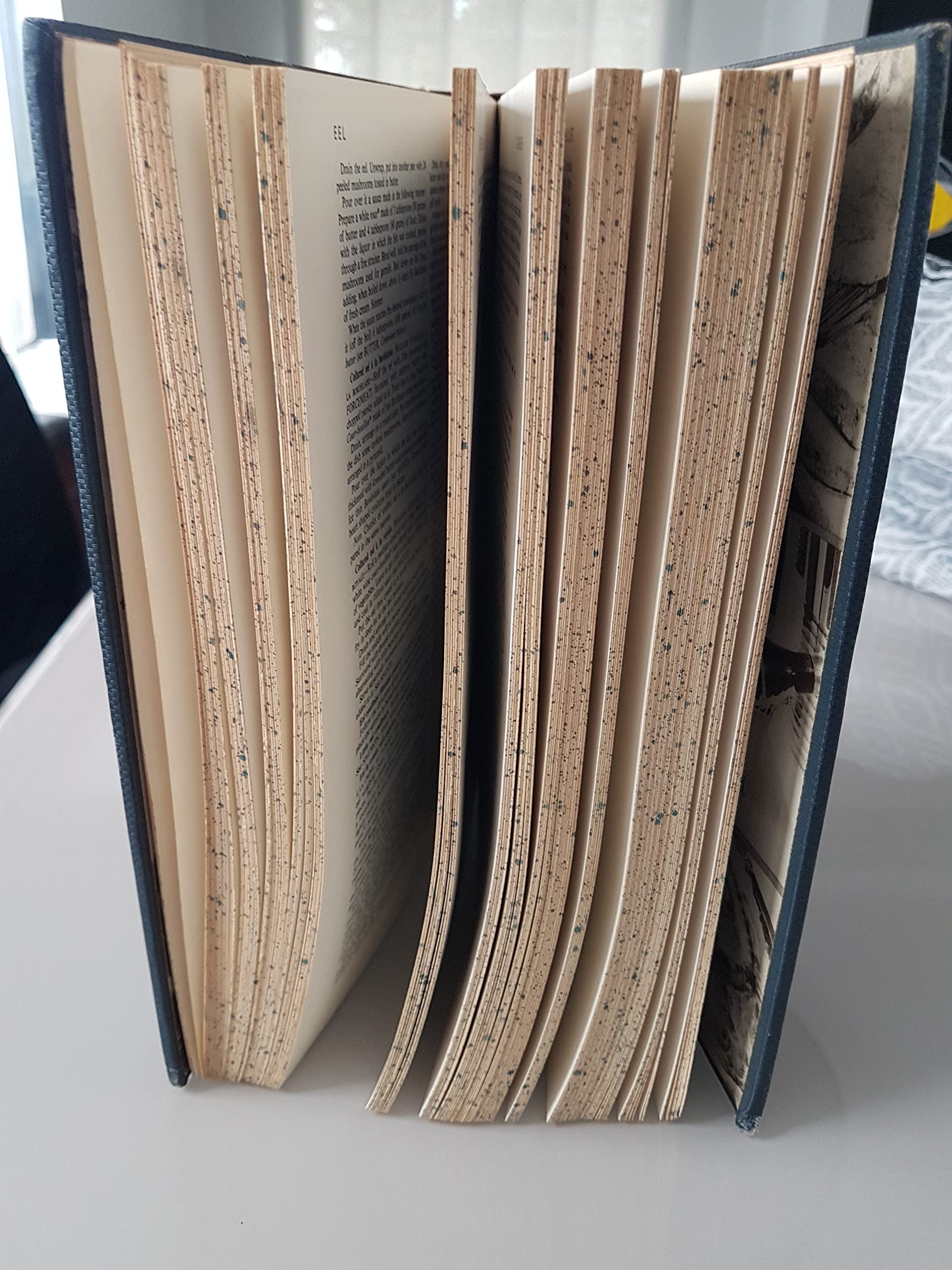 Larousse Gastronomique used book depot