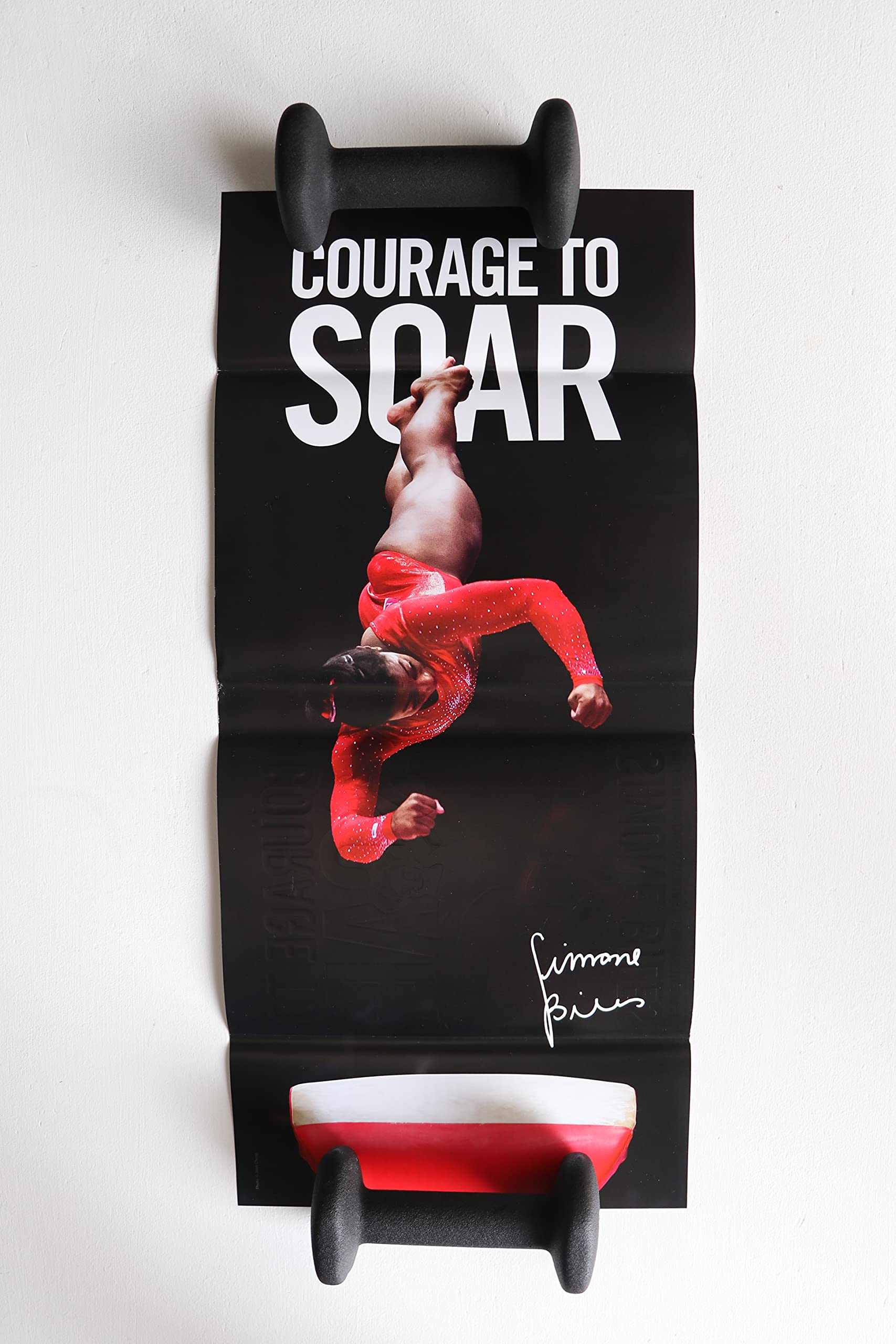 Courage to Soar: A Body in Motion, A Life in Balance used book depot