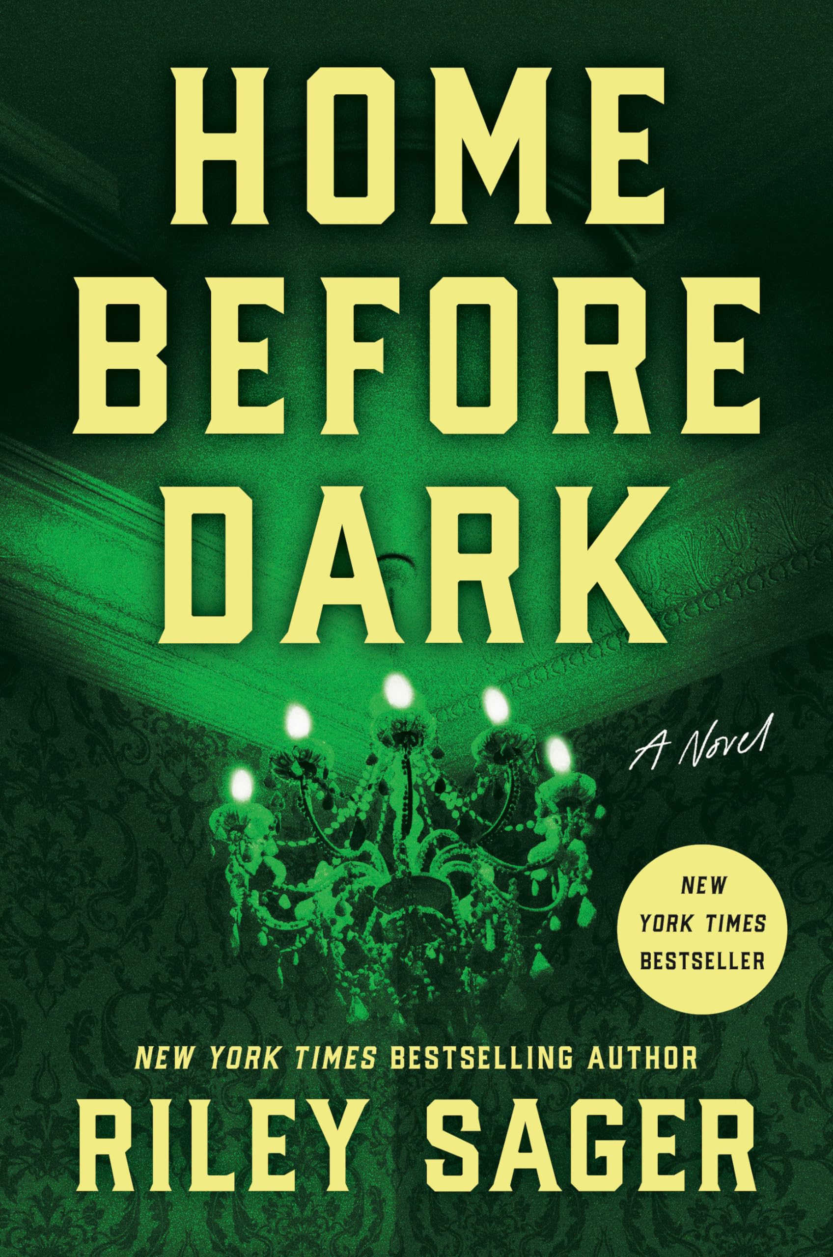 Home Before Dark: A Novel used book depot