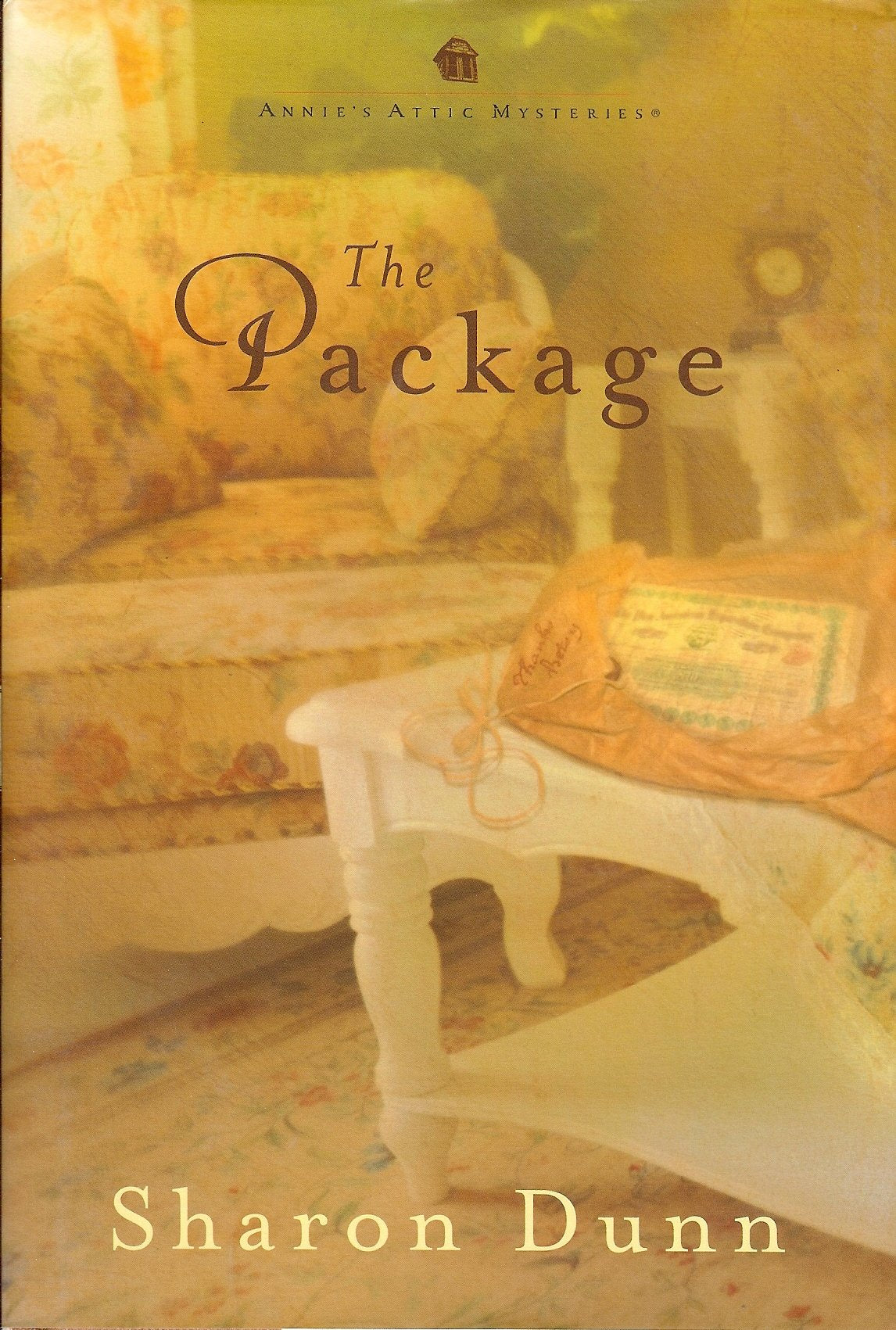 The Package - Annie's Attic Mysteries used book depot