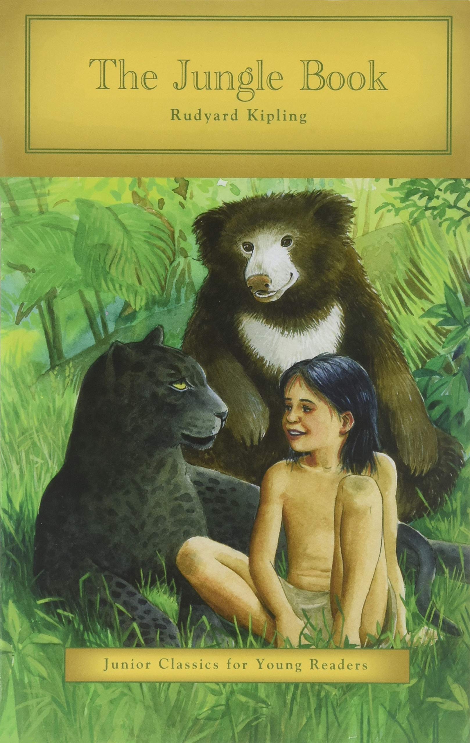 The Jungle Book (Junior Classics for Young Readers) used book depot