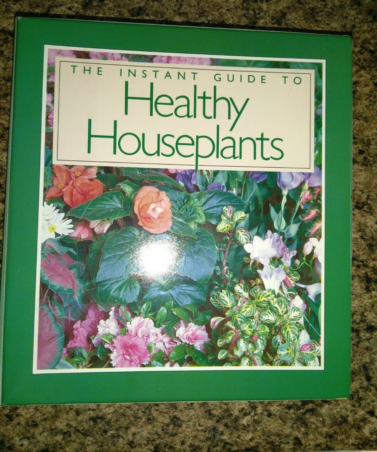 The Instant Guide to HEALTHY HOUSEPLANTS used book depot