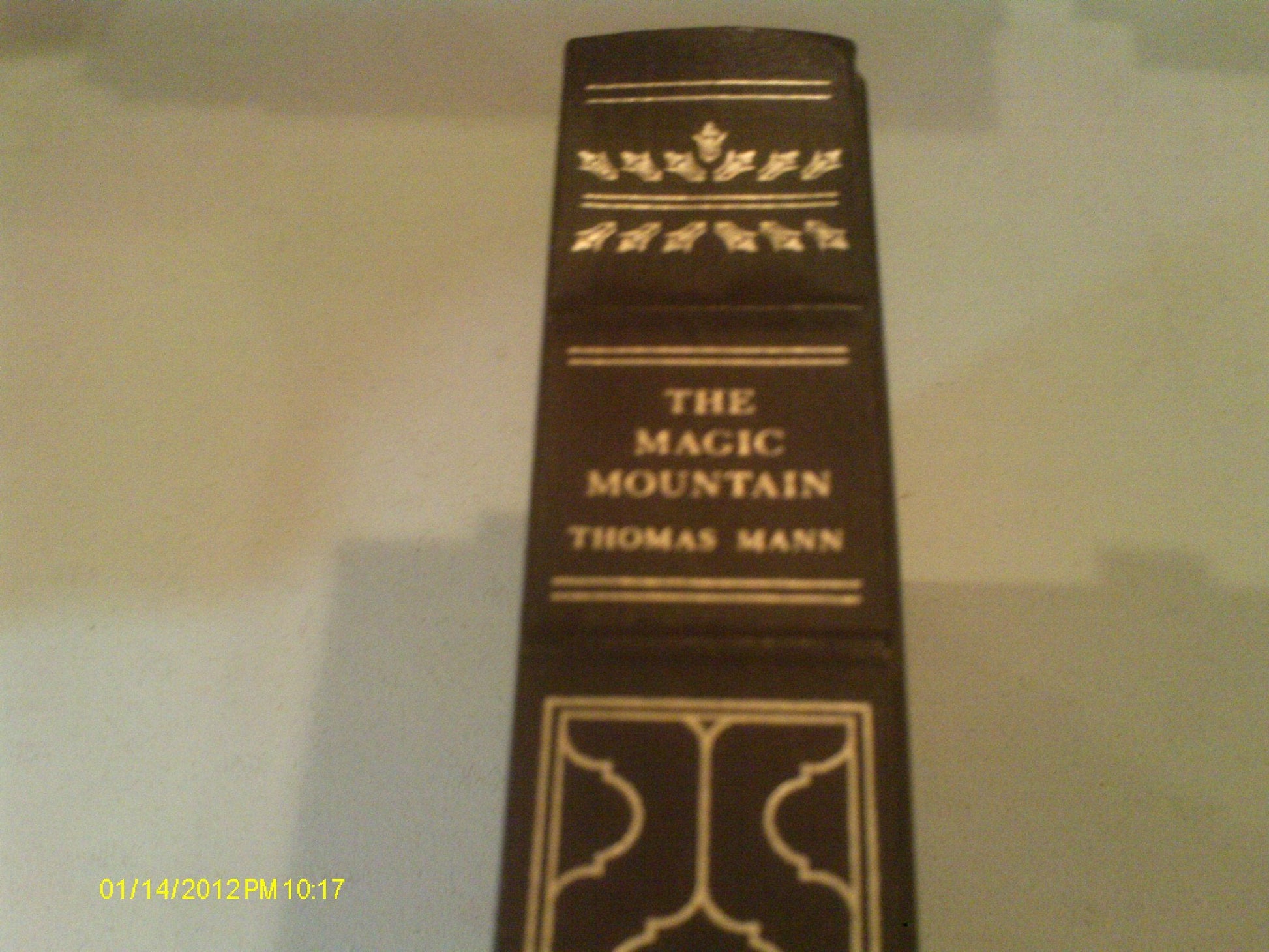 The Magic Mountain used book depot