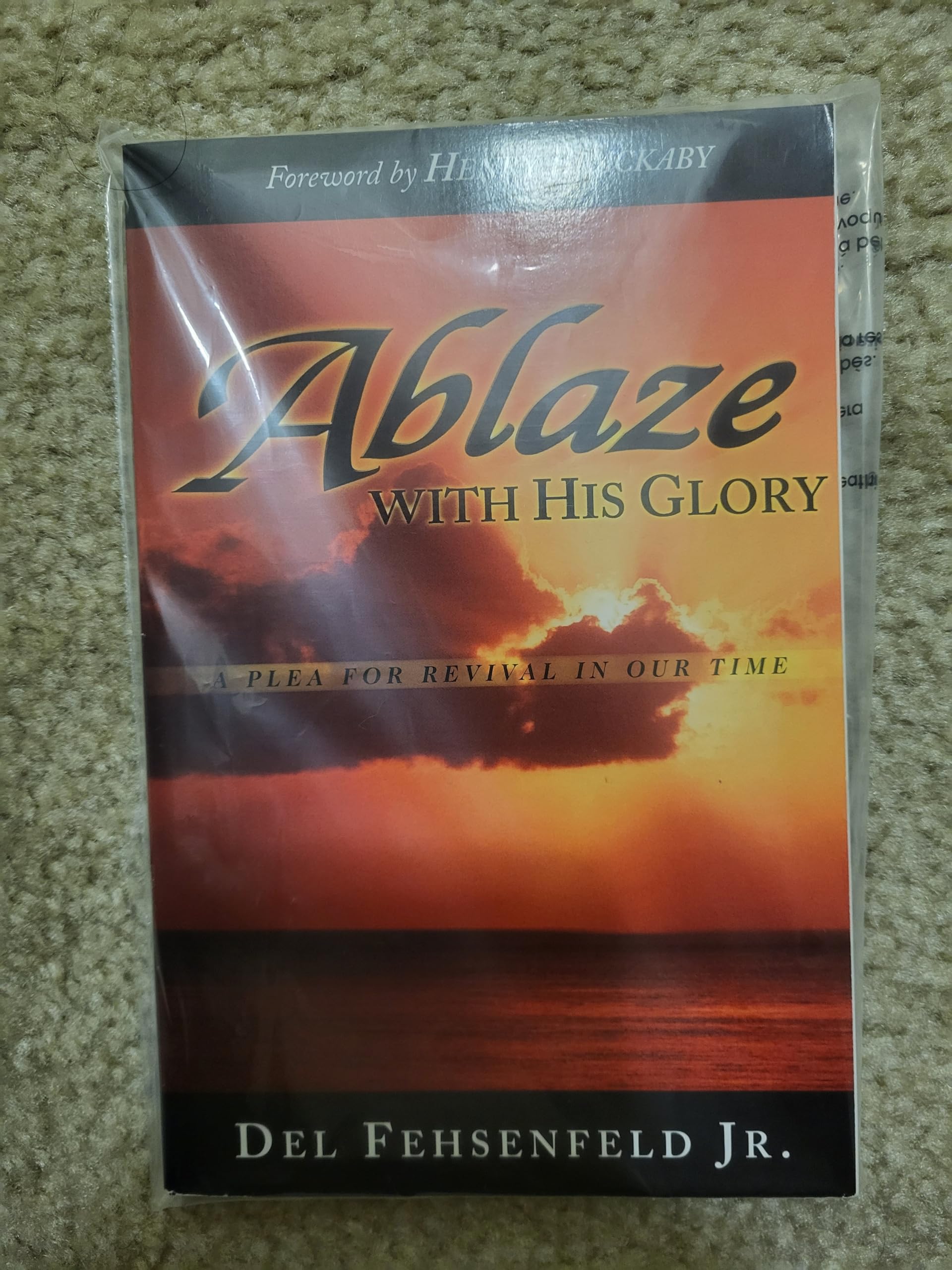 Ablaze With His Glory! used book depot