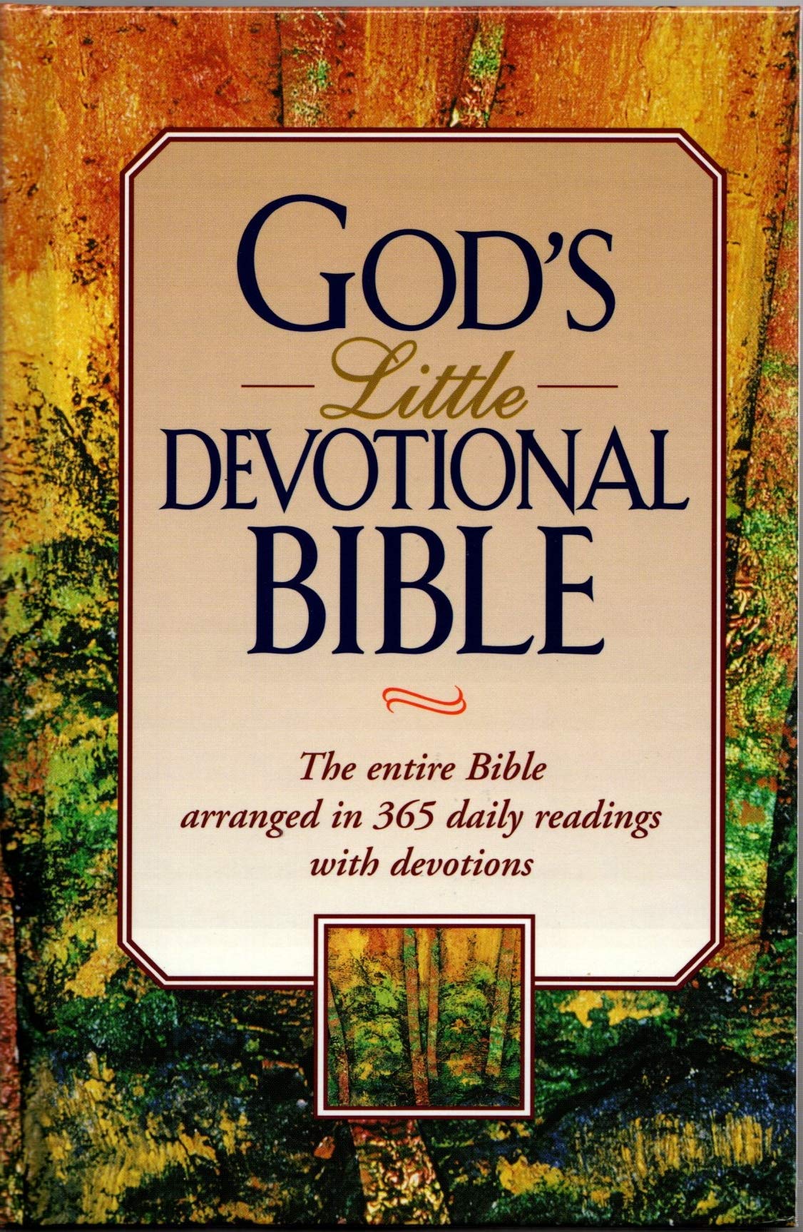 God's Little Devotional Bible (God's Little Devotional Series) used book depot