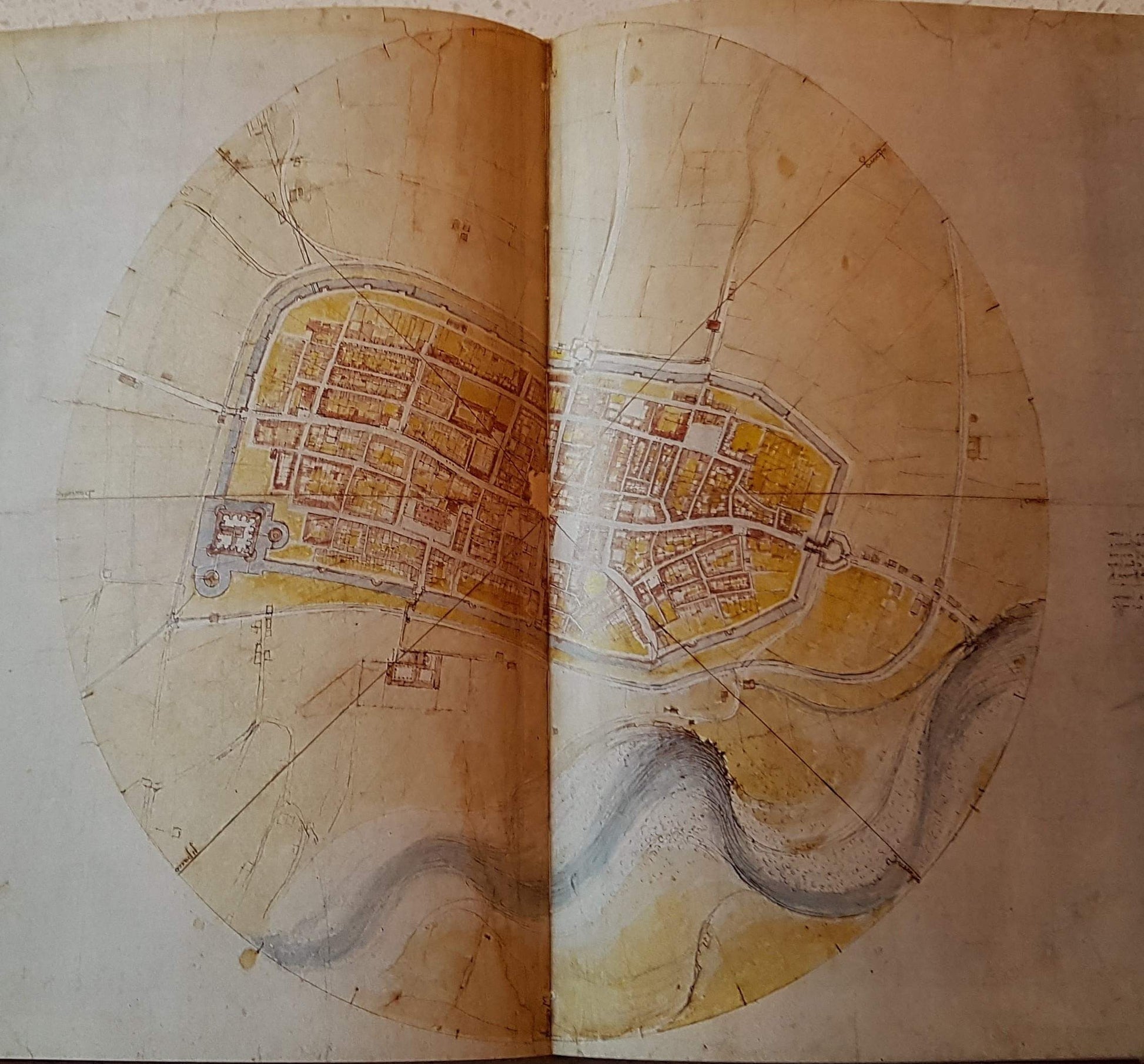 The Unknown Leonardo used book depot