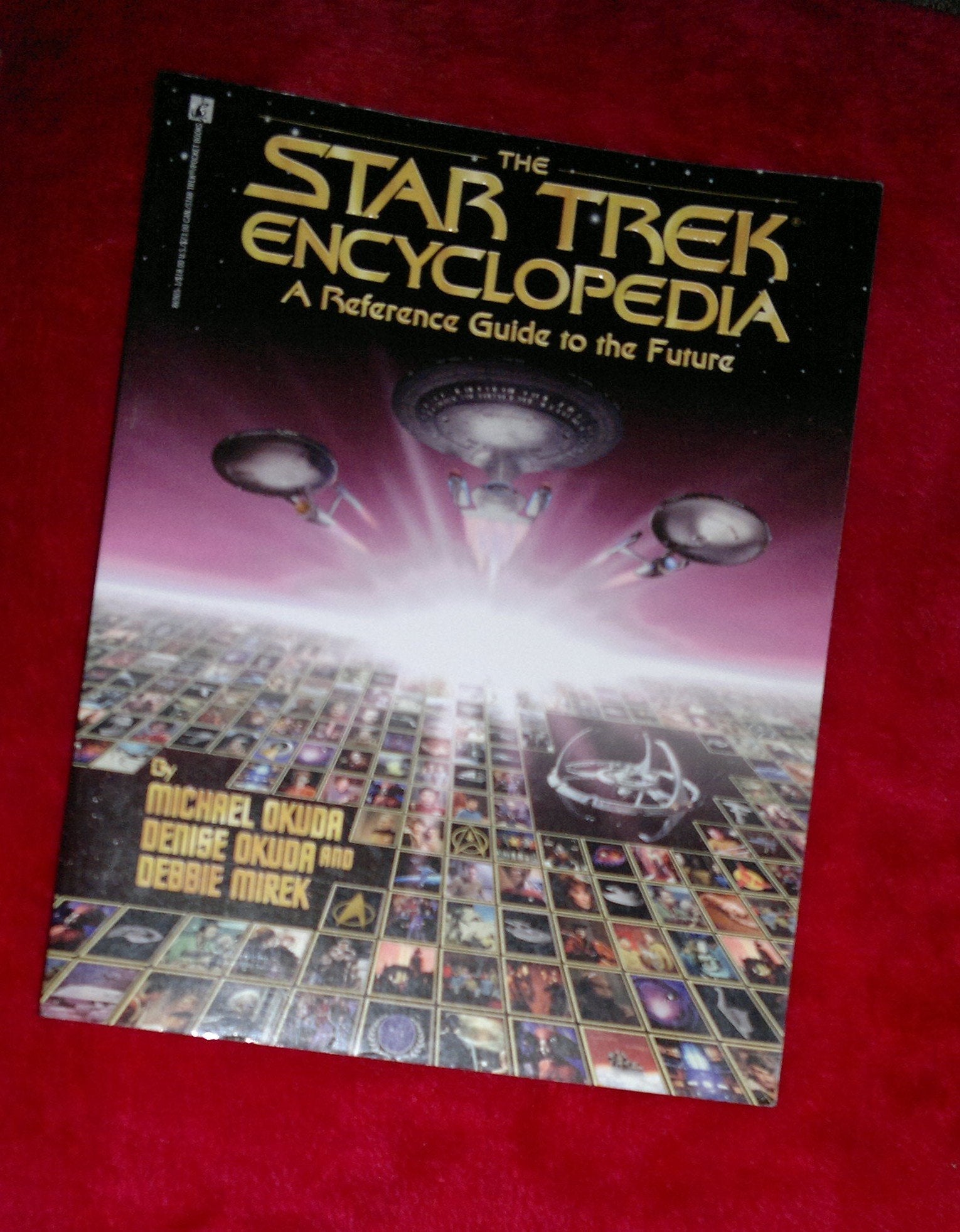 The Star Trek Encyclopedia used book depot