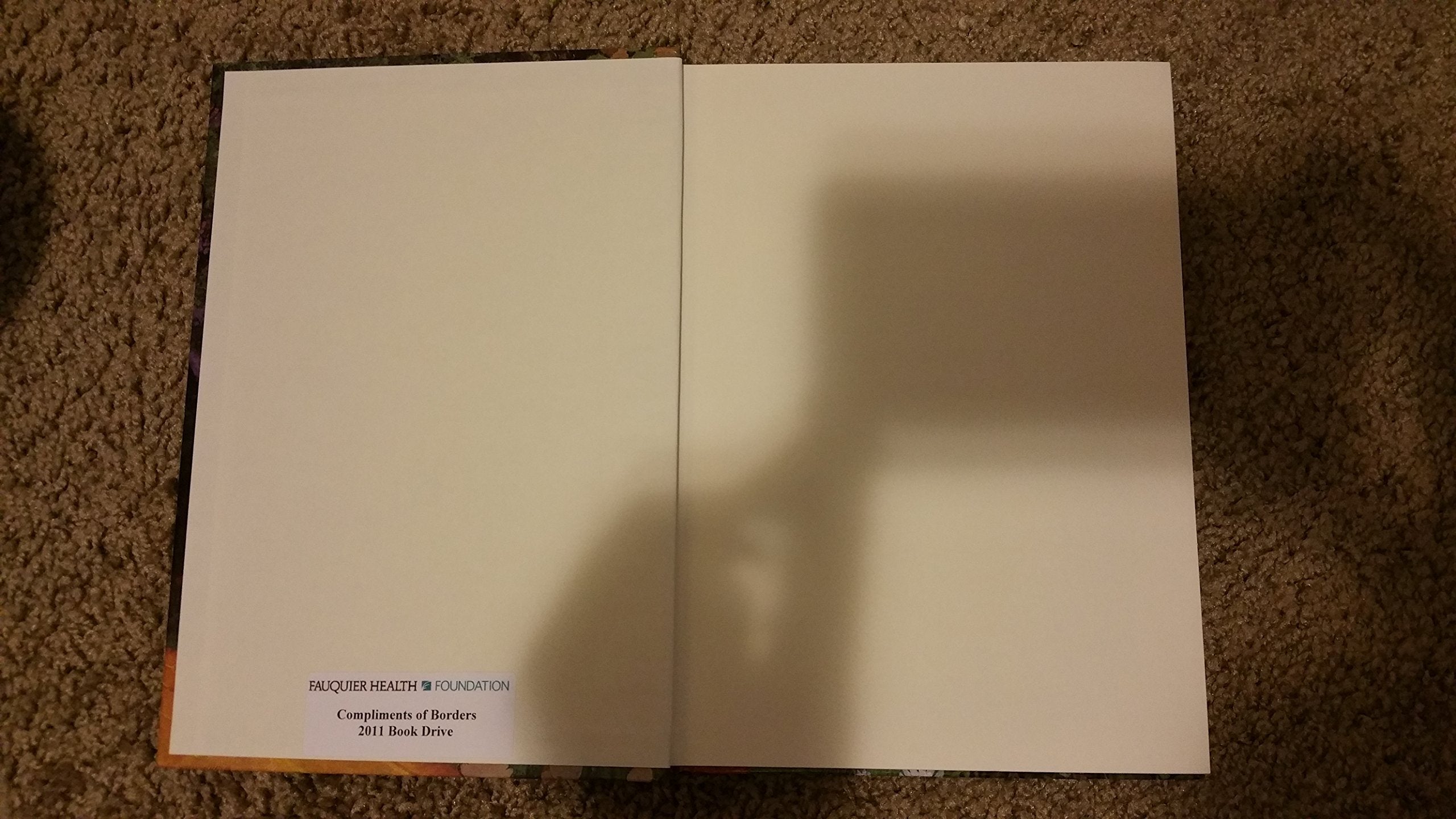 The Wizard of Oz (Illustrated Junior Library) used book depot