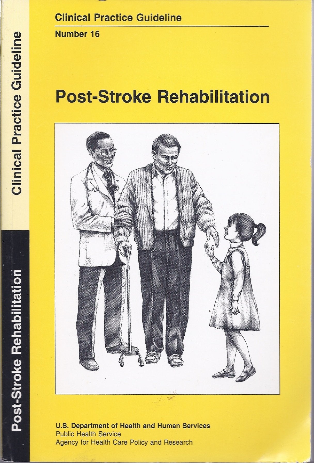 Post-Stroke Rehabilitation: Clinical Practice Guideline