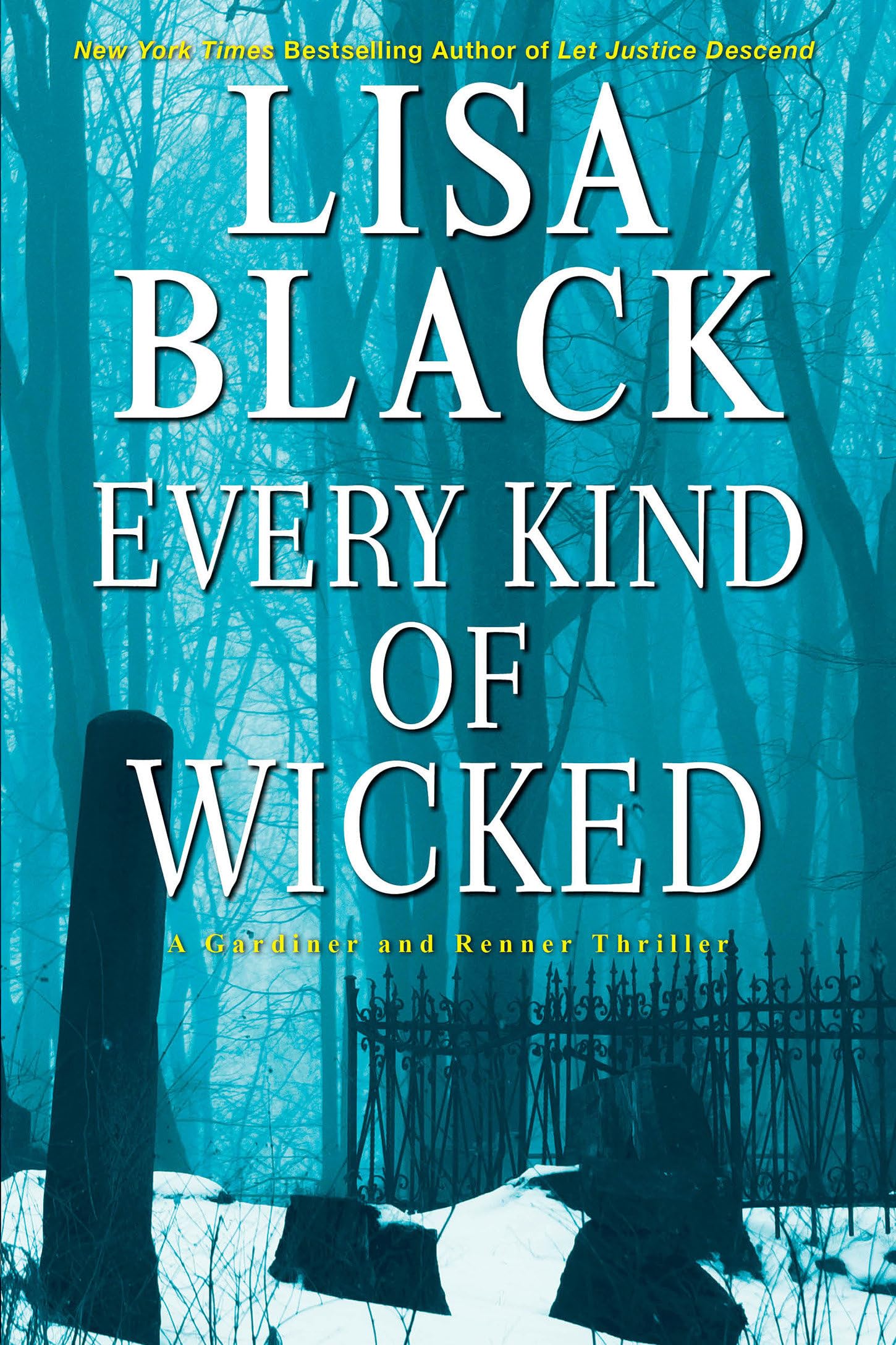 Every Kind of Wicked (A Gardiner and Renner Novel) used book depot