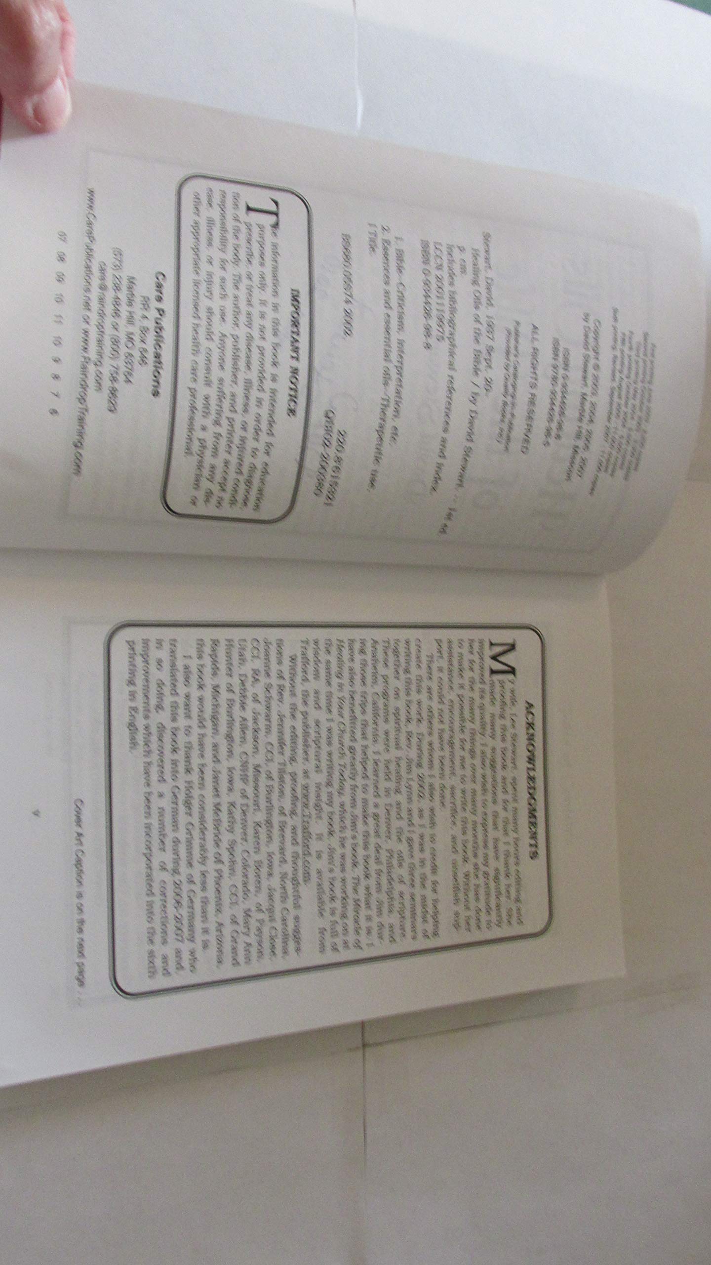 Healing Oils of the Bible used book depot