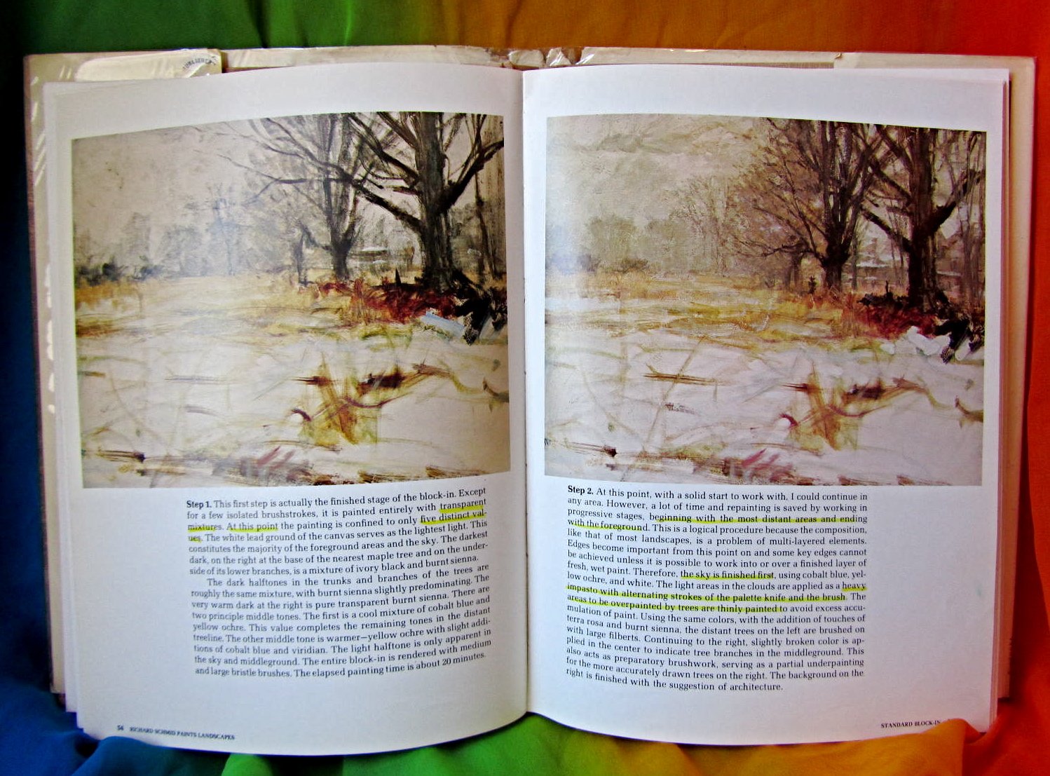 Richard Schmid Paints Landscapes: Creative Techniques in Oil used book depot